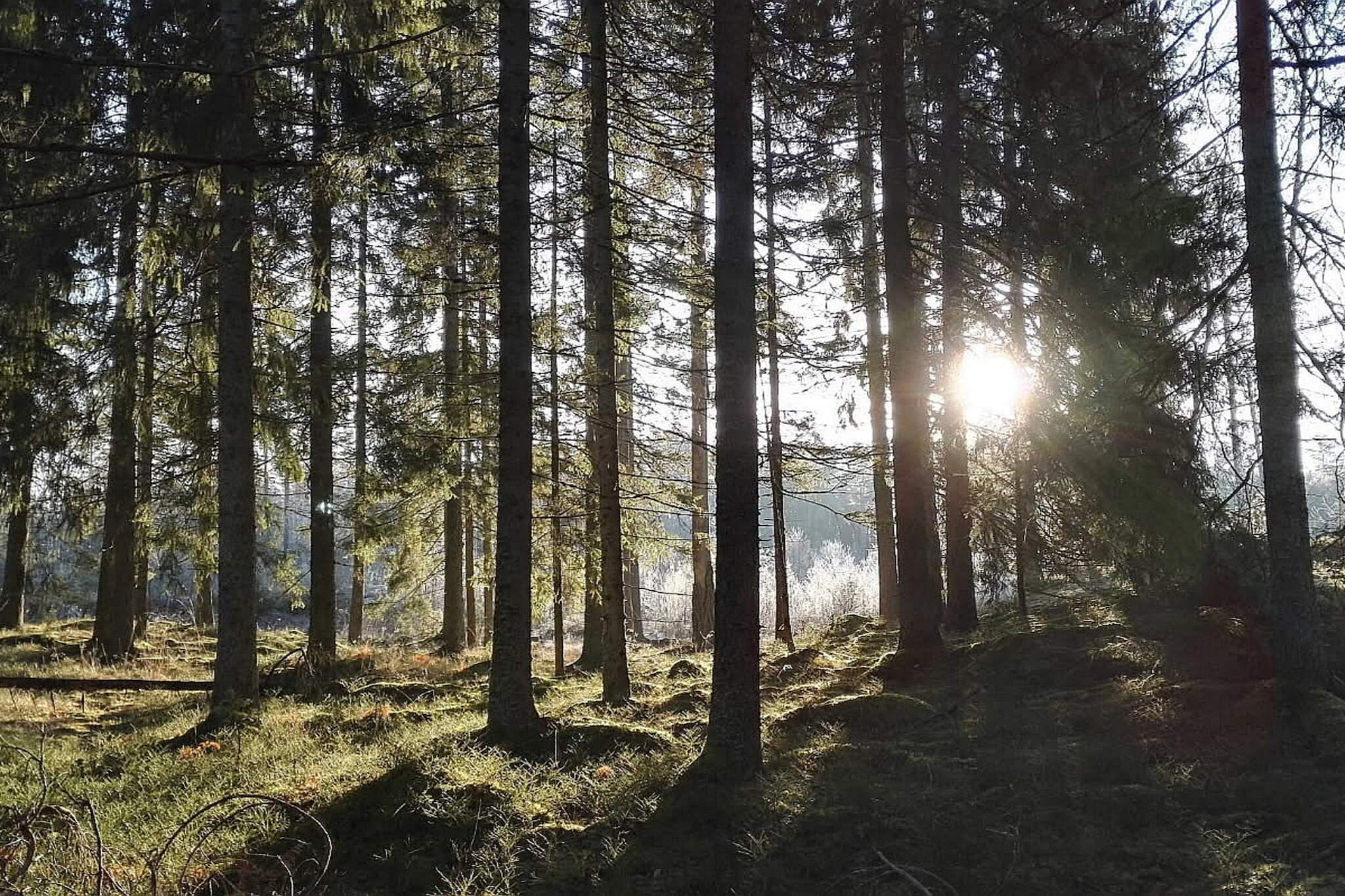 Maison de vacances pour 5 a Knutby-Non tagué