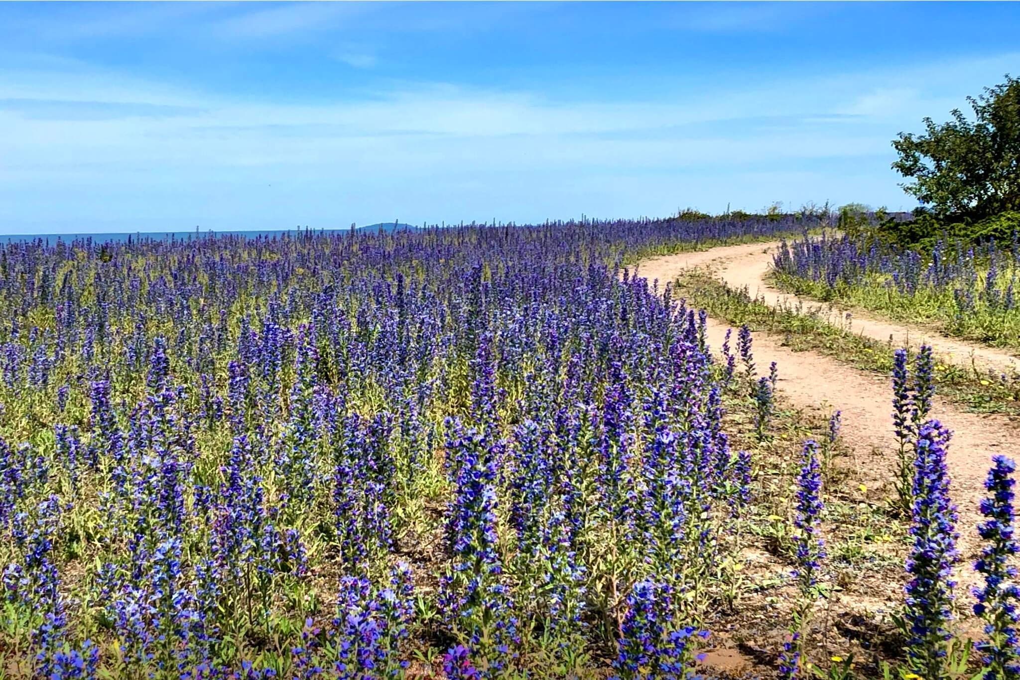 Maison de vacances pour 6 a LÖTTORP-Extérieur