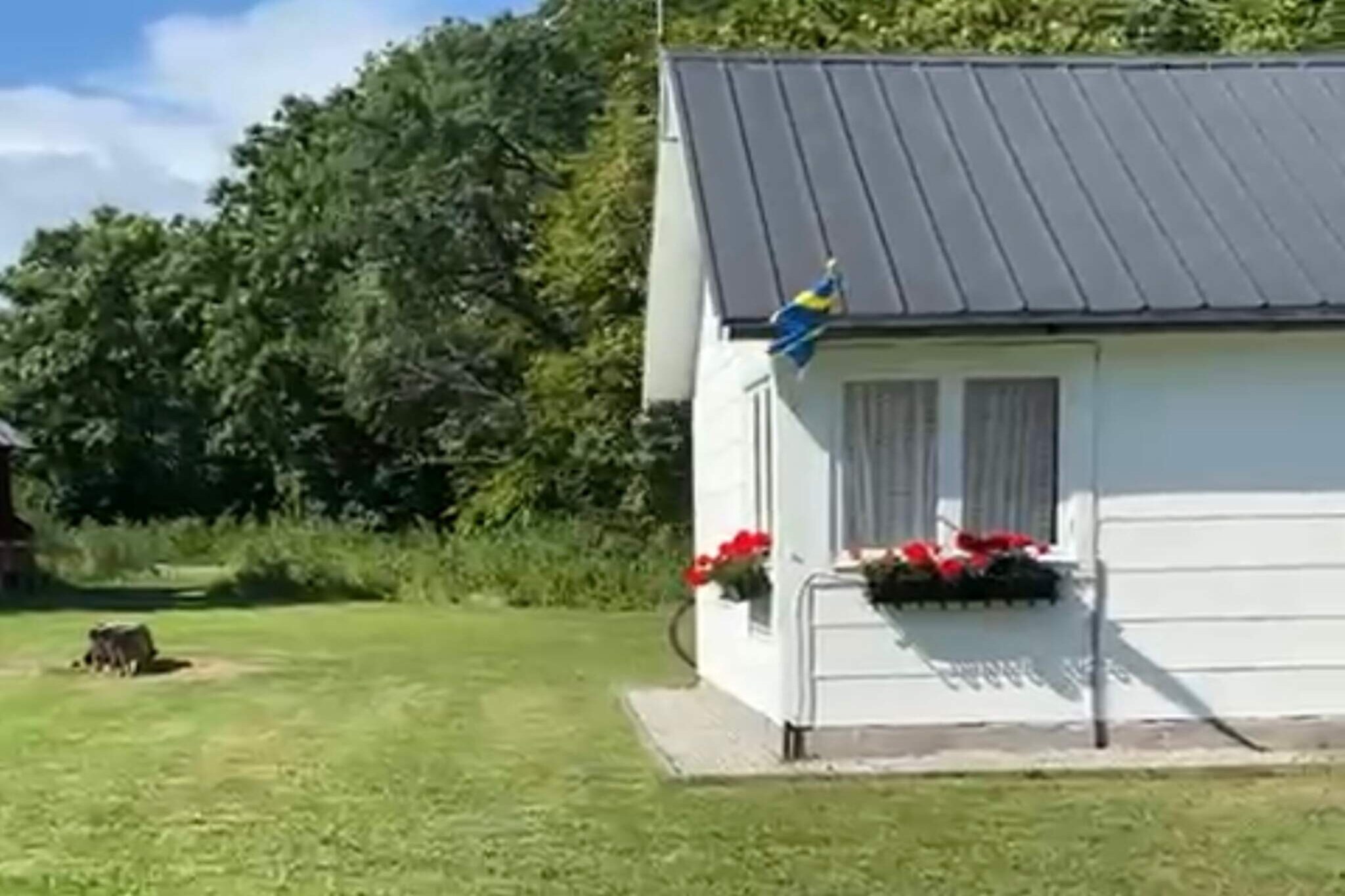 Maison de vacances pour 6 a LÖTTORP-Extérieur