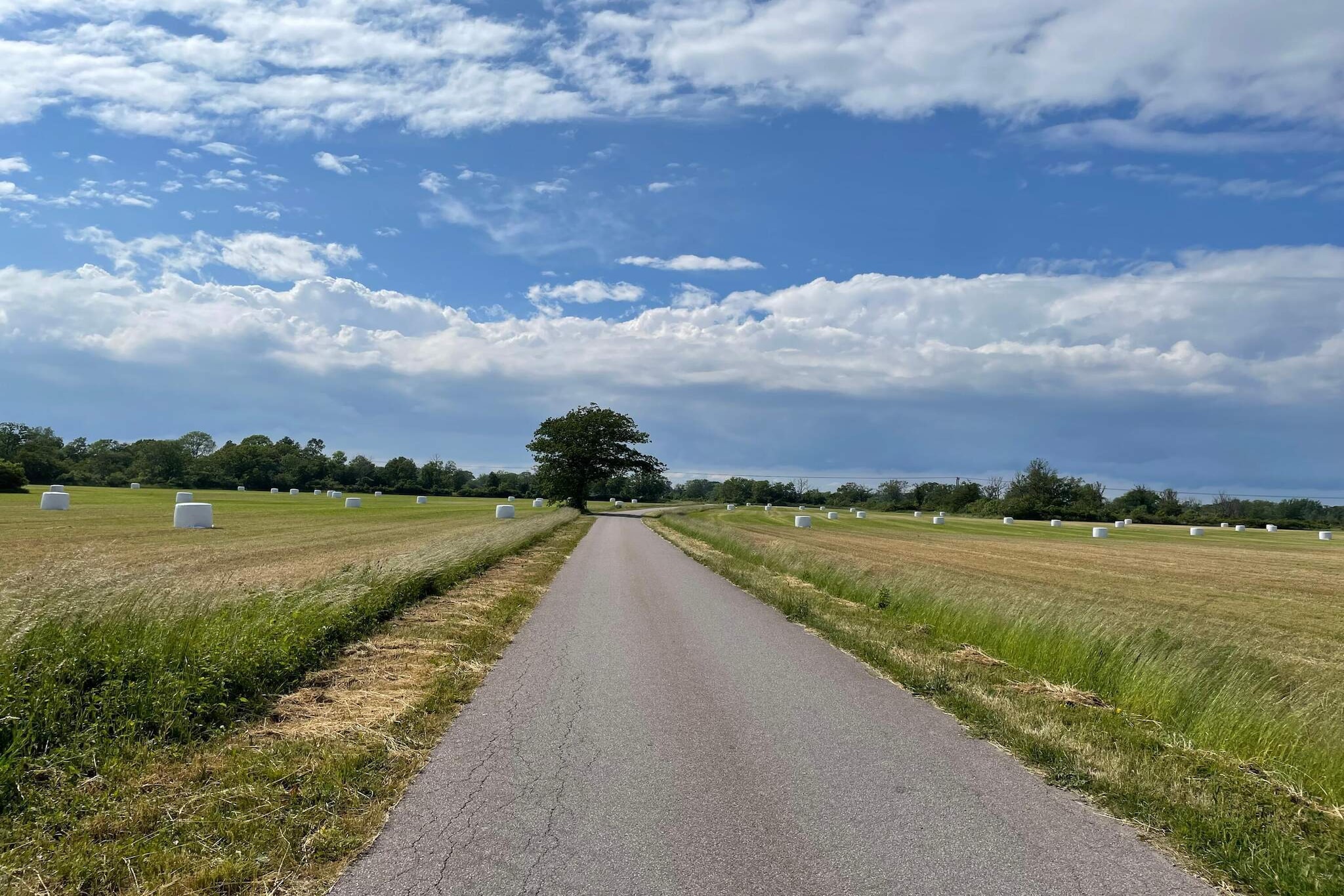 Maison de vacances pour 6 a LÖTTORP-Non tagué