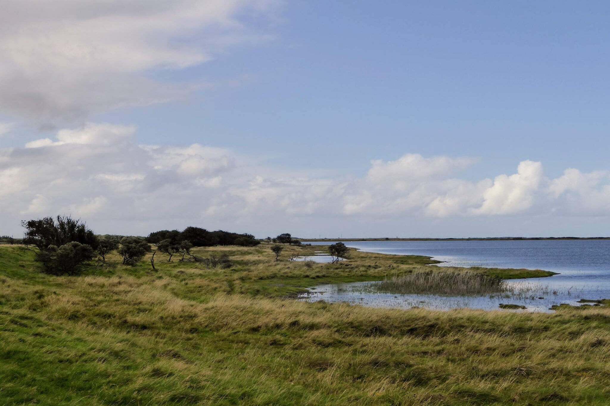 5 Sterne Ferienhaus in Lemvig-Aussicht
