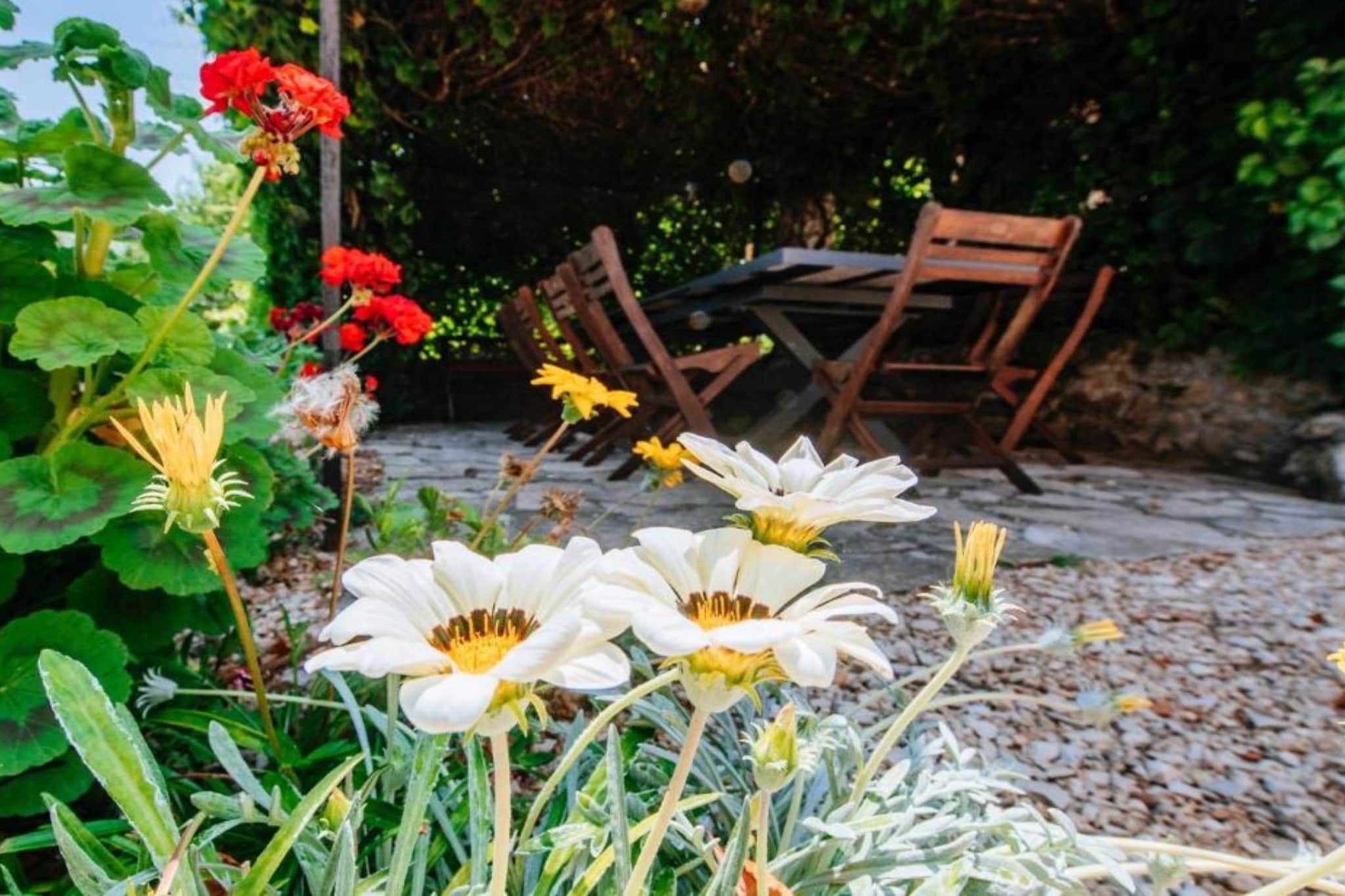 Holiday Home Villa Rokov - Five-Bedroom Villa - Outdoor