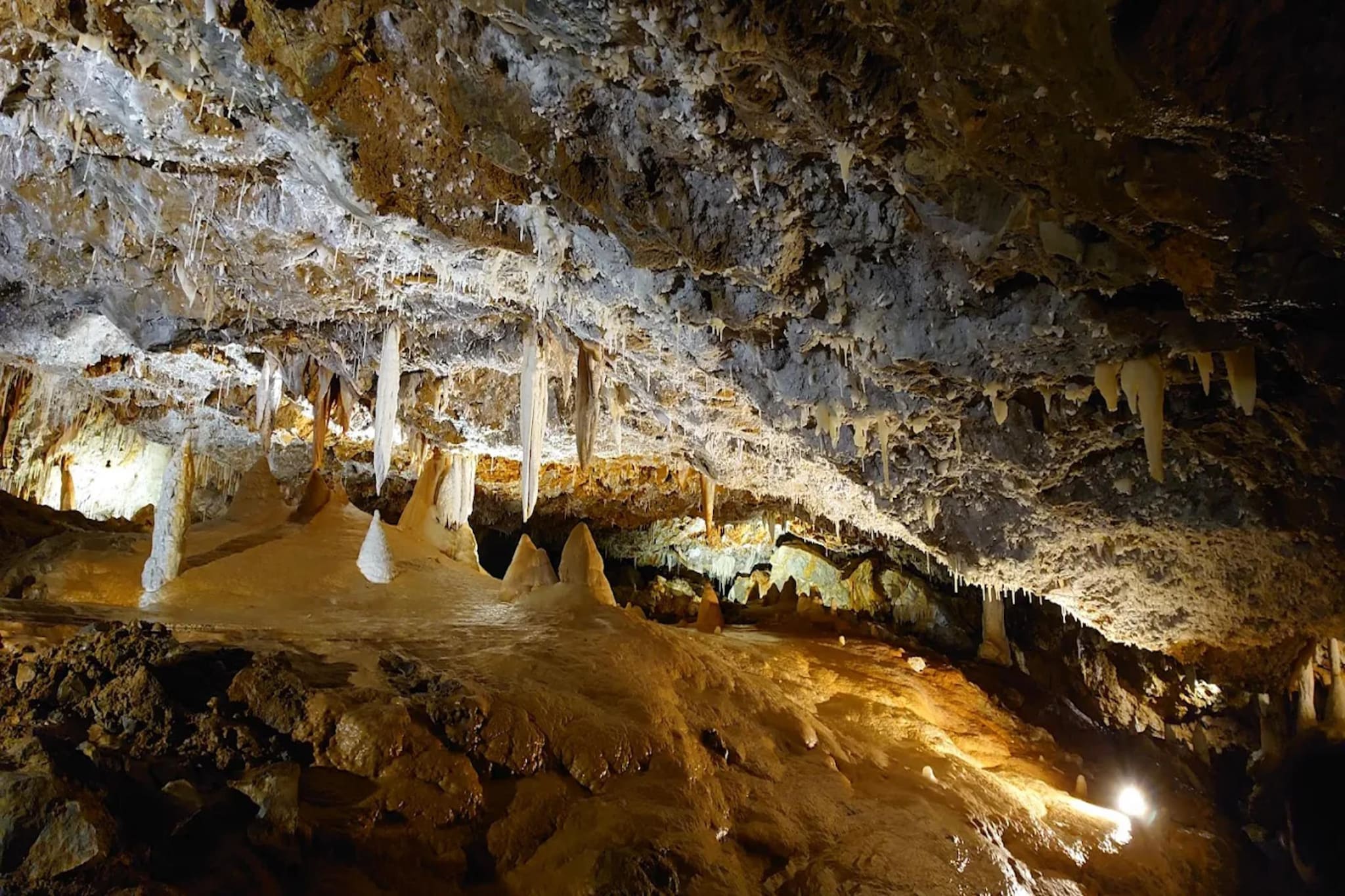 Residence Miriam - APARTMENT TWO BEDROOMS 4 Personen-Gebieden zomer 5km