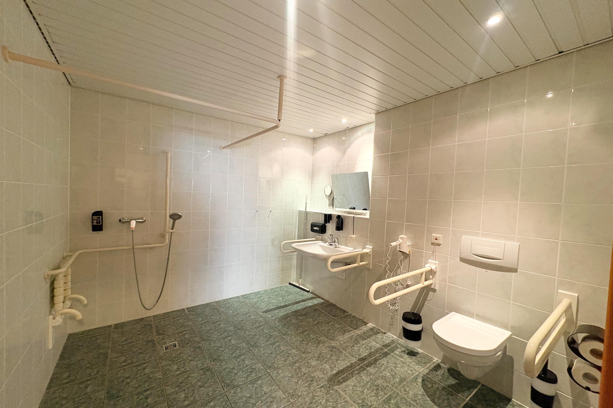 Wheelchair accessible Double Room-Badkamer
