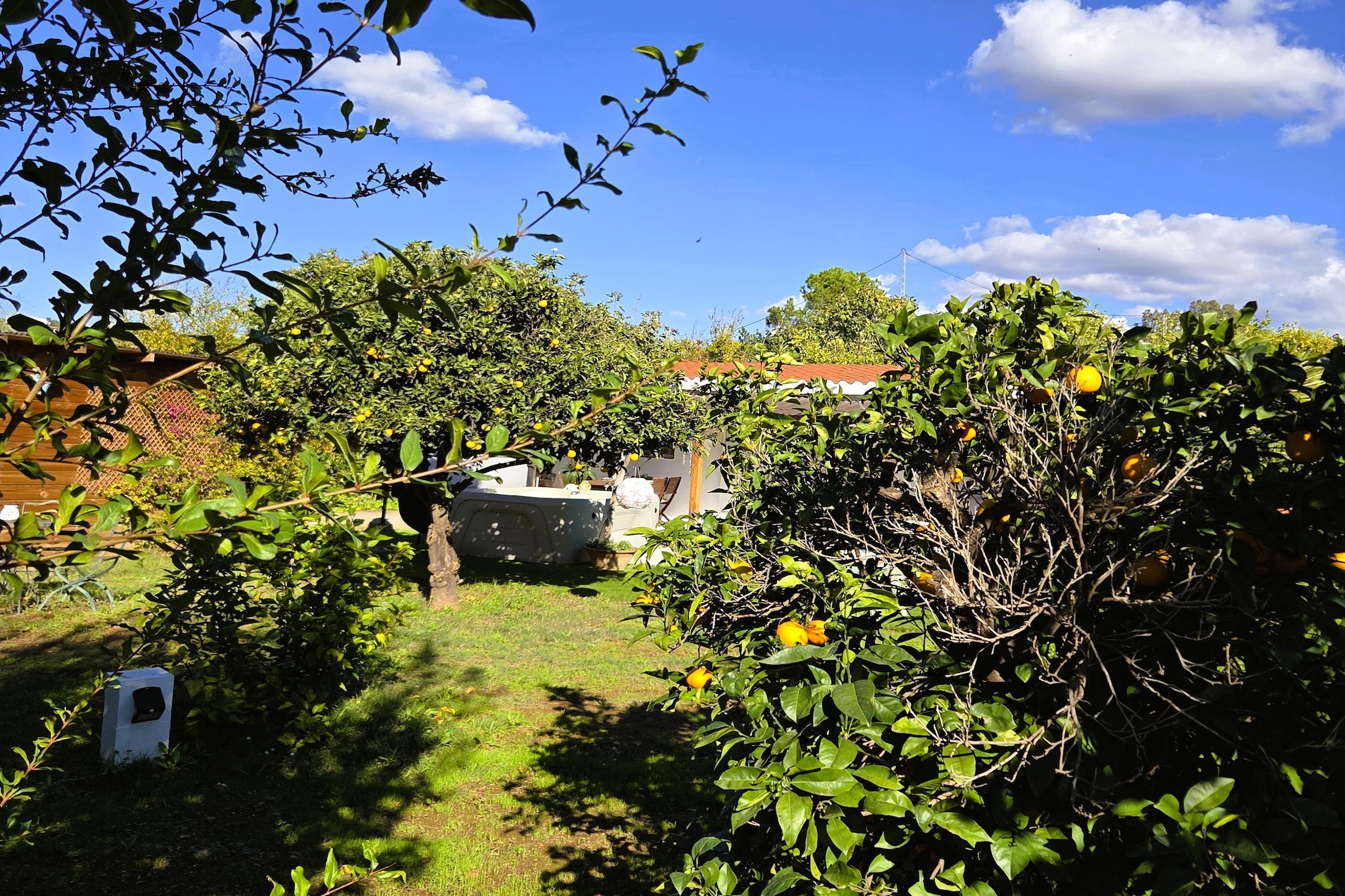 Casita Cartama-Garten Sommer