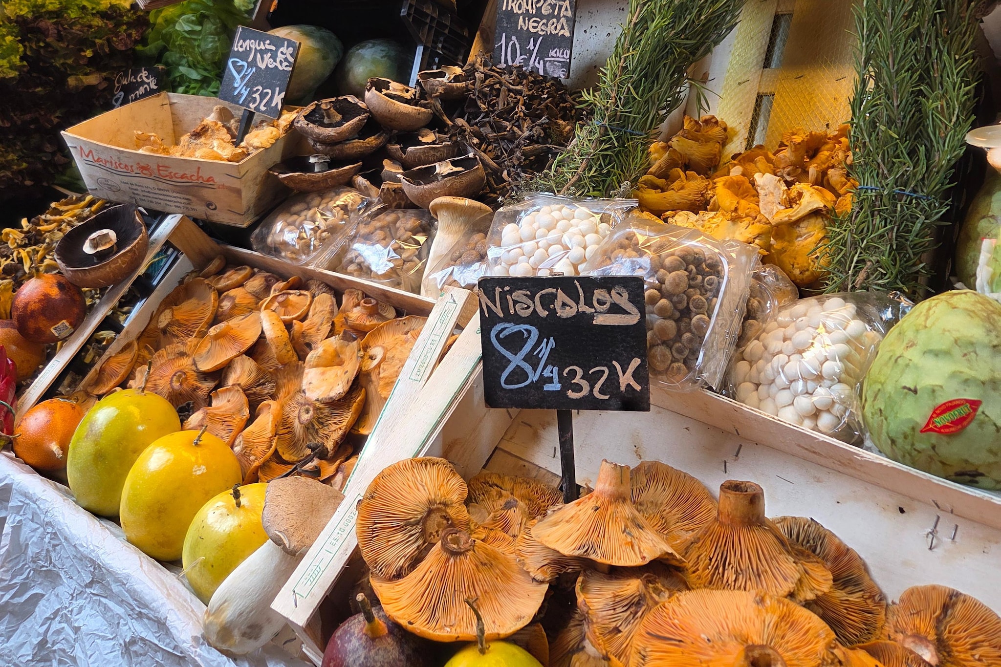 Casita Cartama-Gebiete Sommer 1 km