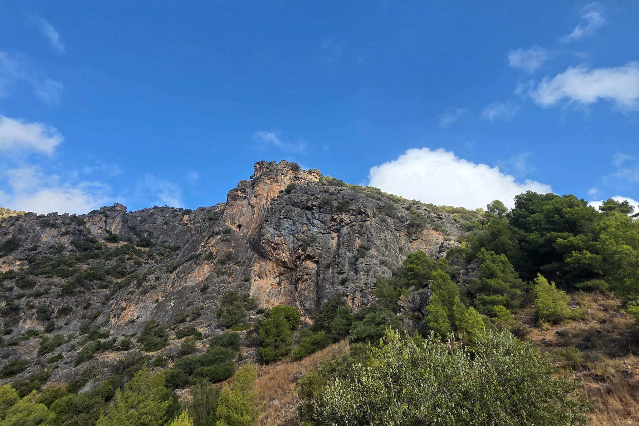 Casita Cartama-Gebiete Sommer 1 km