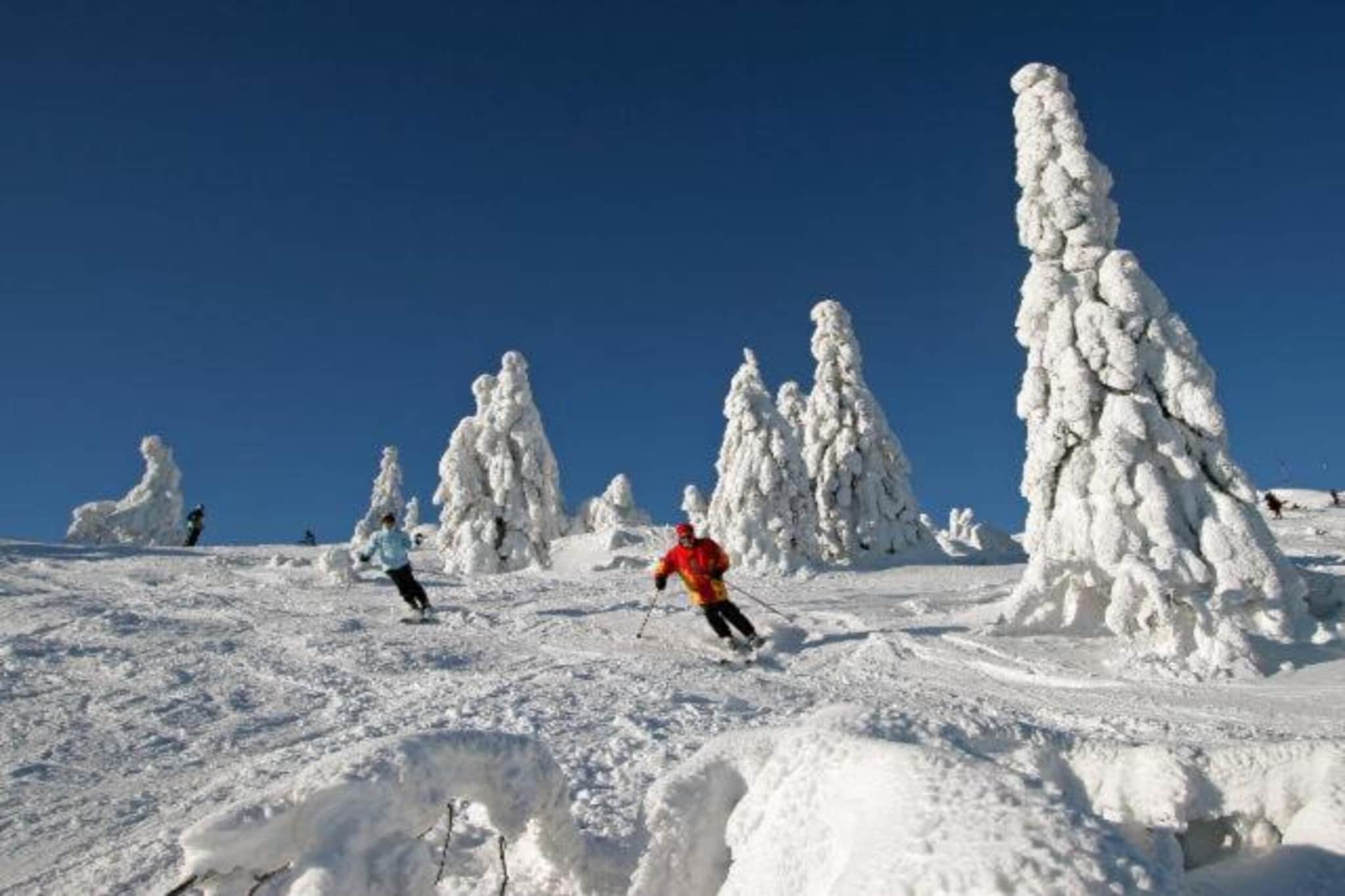 Ferienwohnung in Arrach bei Großer Arber-Gebied winter 20km