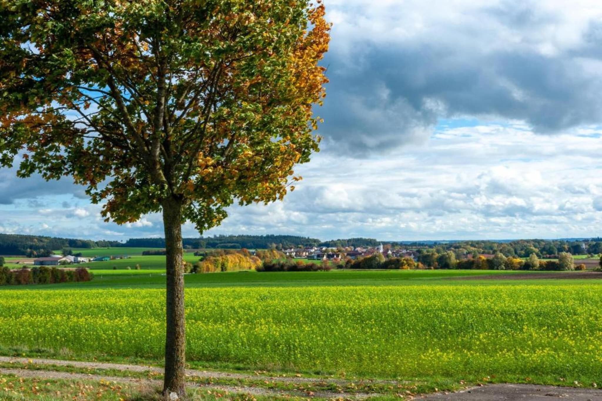 Ferienwohnung in Arrach bei Großer Arber-Gebieden zomer 1km
