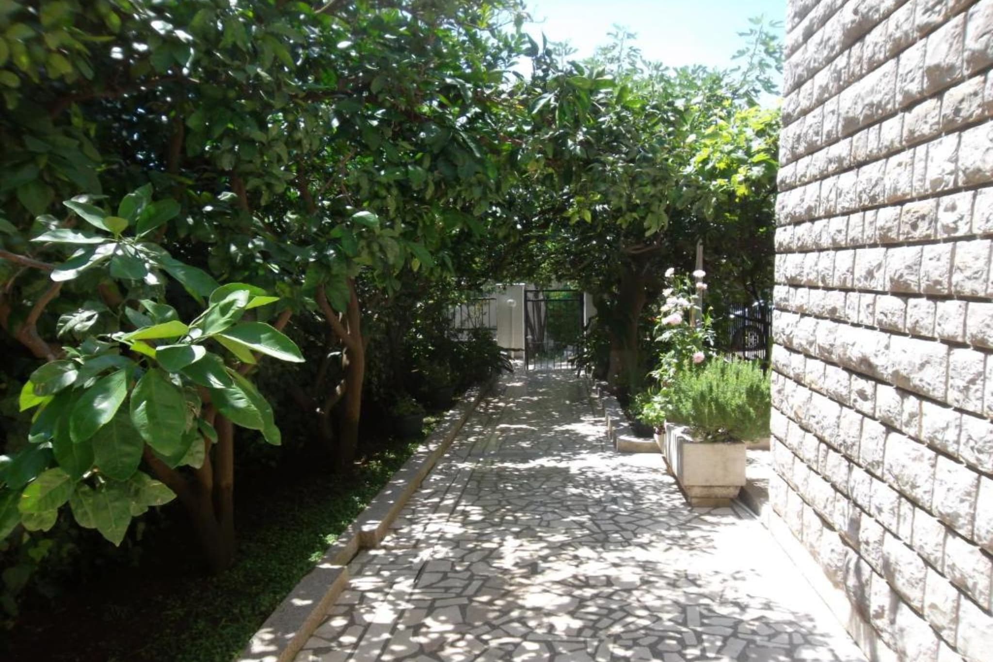 Guest House 4M Gregović - Three bedroom apartment - Outdoor