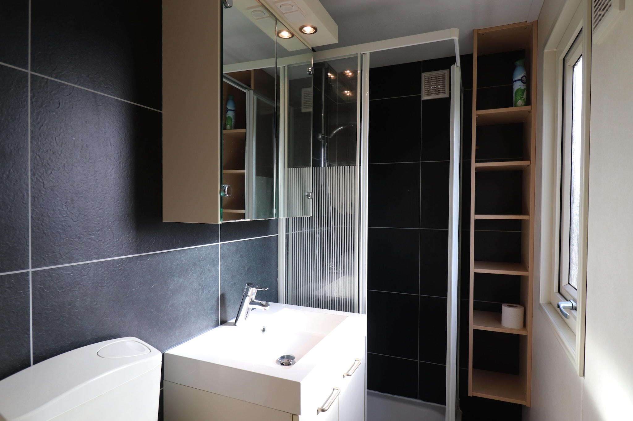 Duinchalet Ameland 8-Badkamer