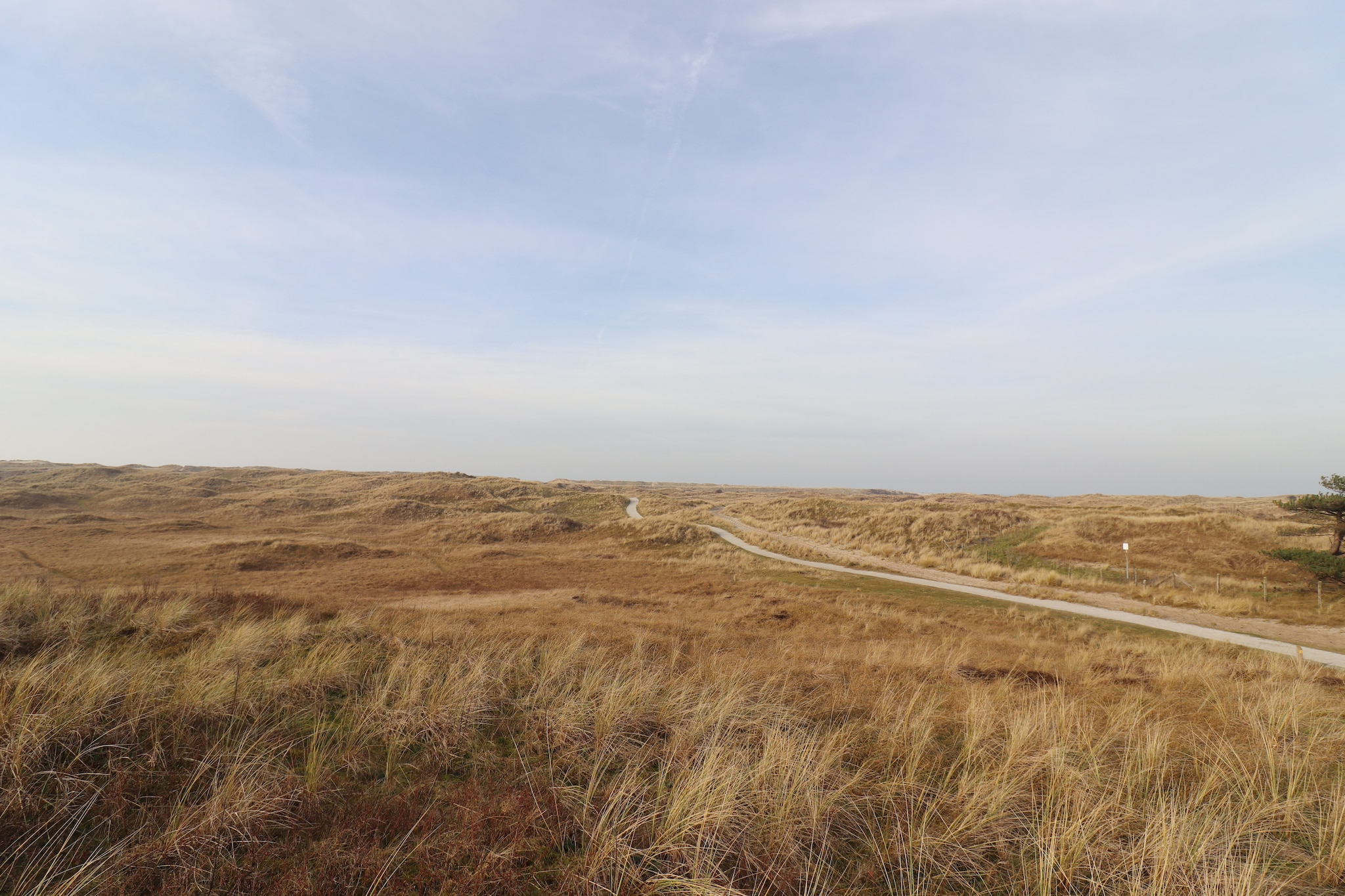 Duinchalet Ameland 92-Gebied winter 1km