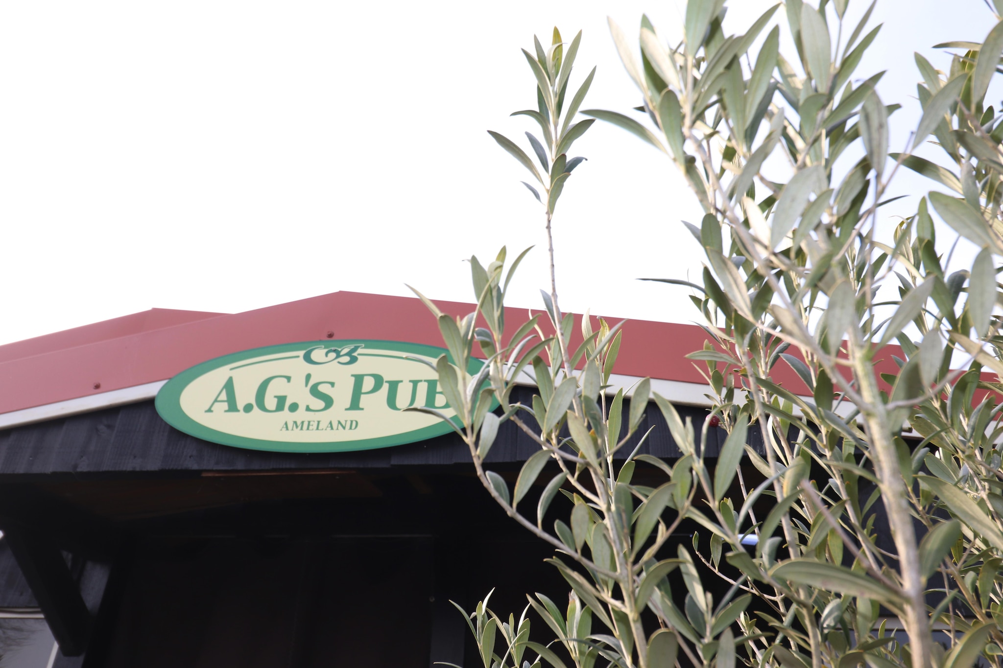 Duinchalet Ameland 76-Faciliteiten