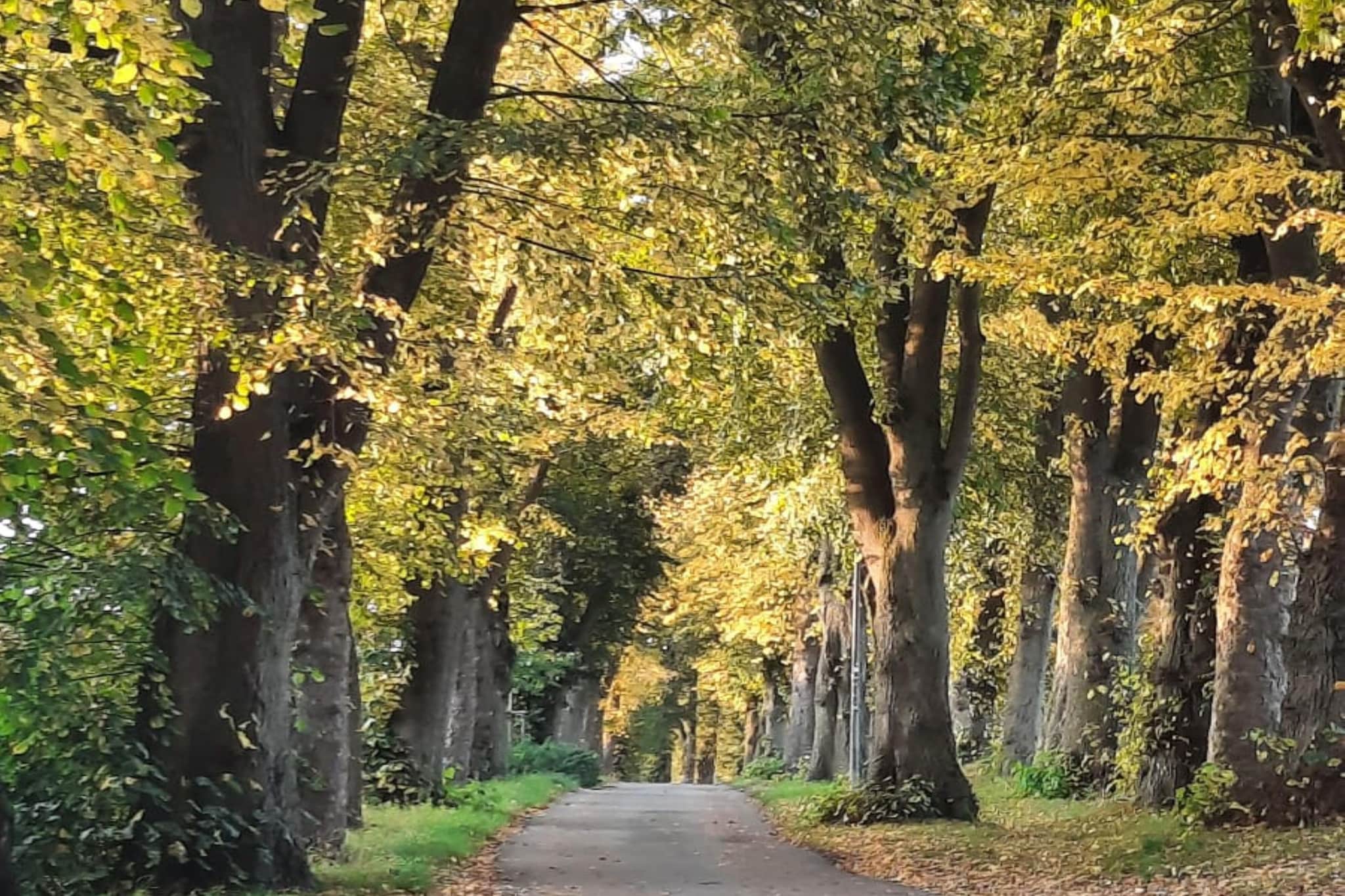 Ferienwohnung Eggetraum