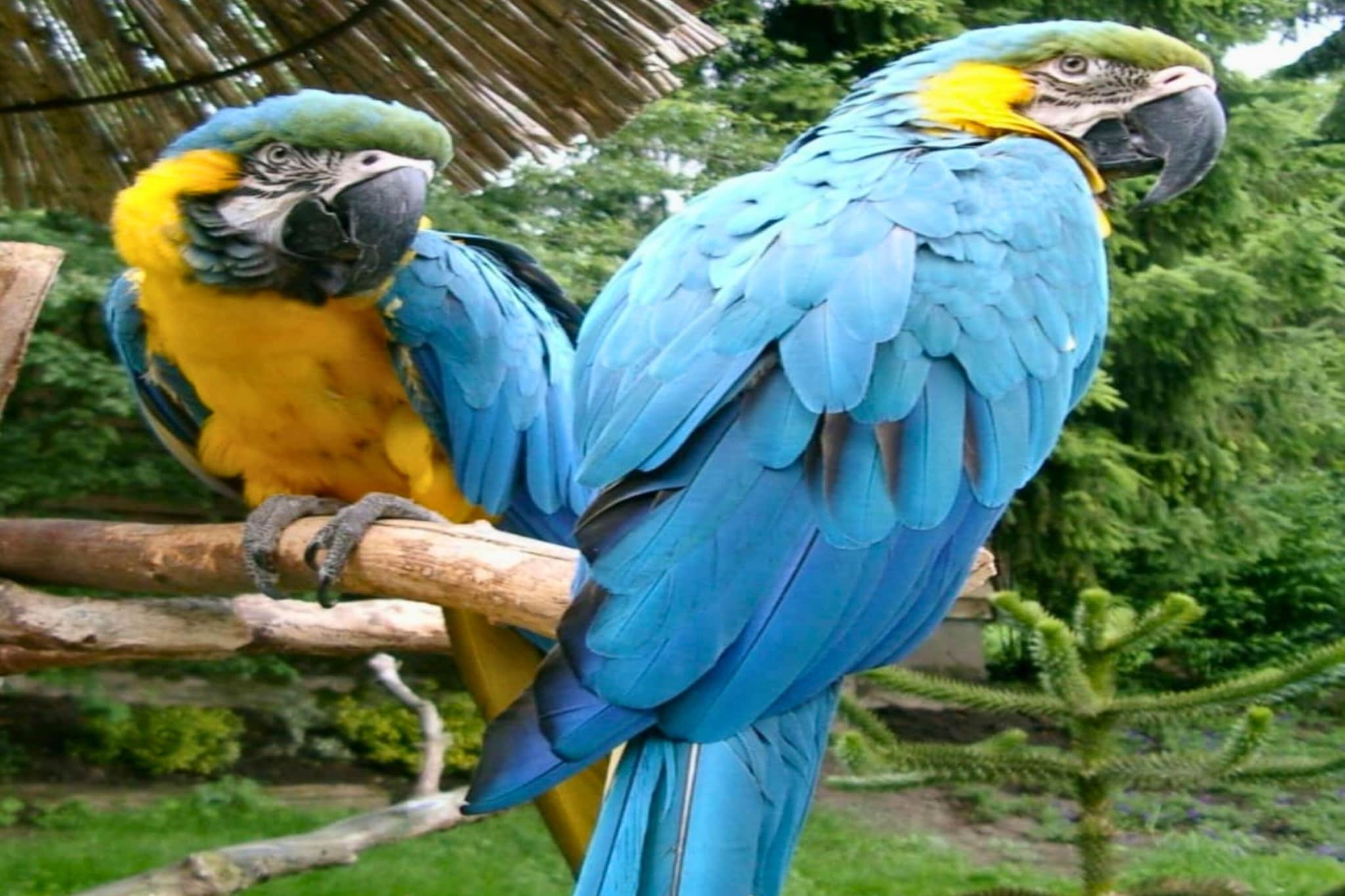Ferienwohnung Eggetraum-Gebieden zomer 20km