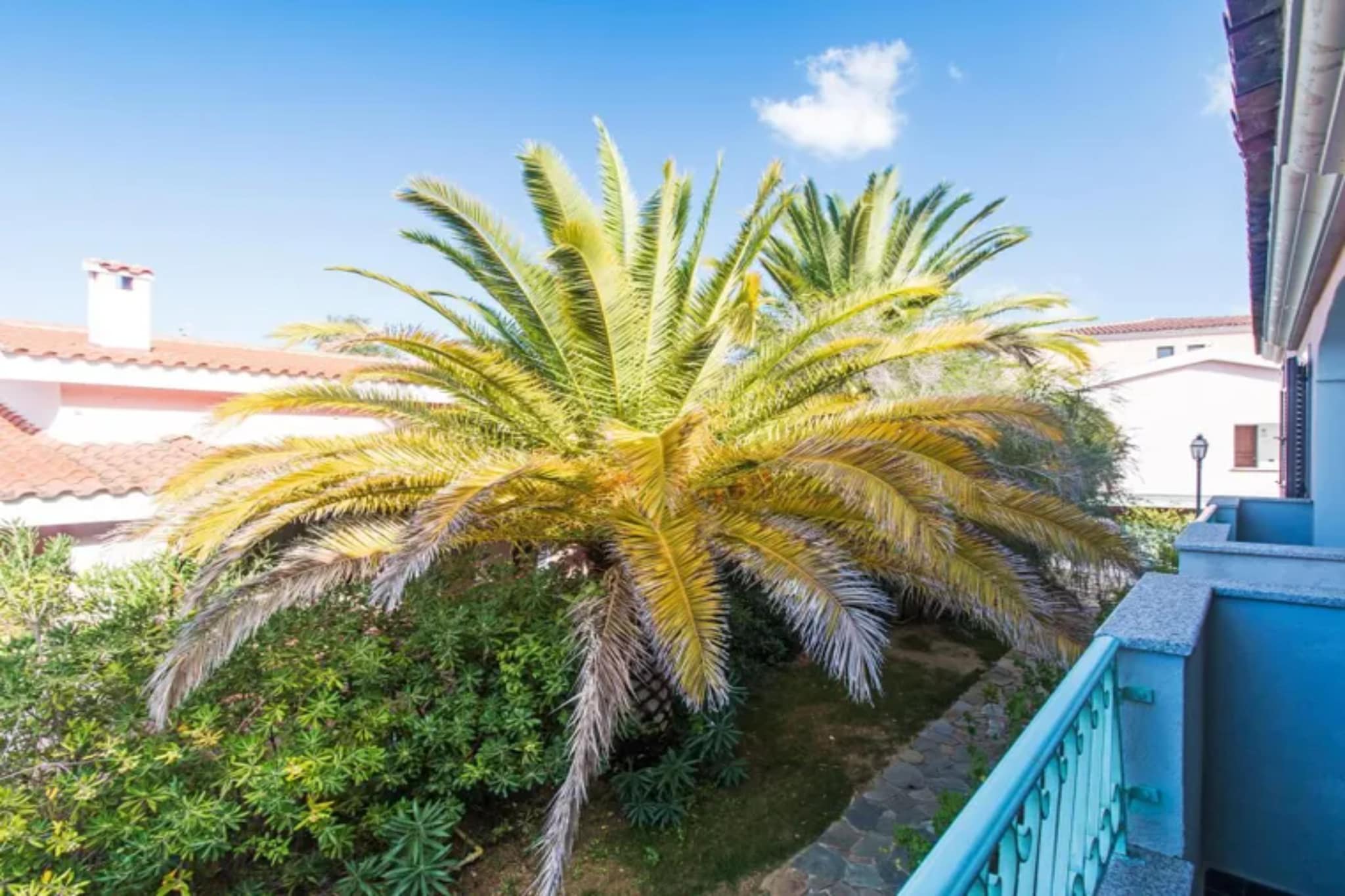 Residence Club Gli Ontani STUDIO - 4 PAX M4-Terrasbalkon