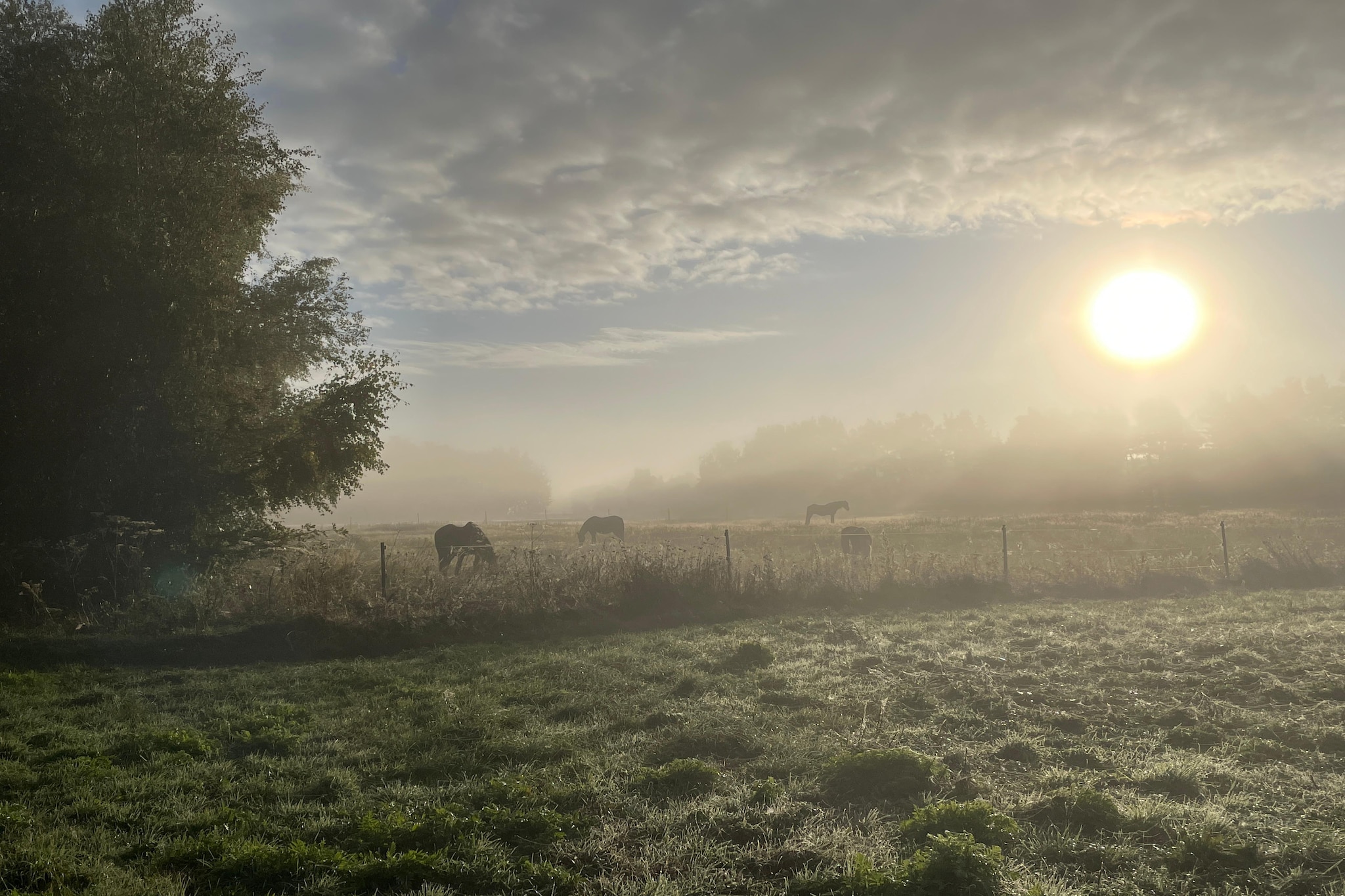 Floating House Paula-Gebiete Sommer 20 km