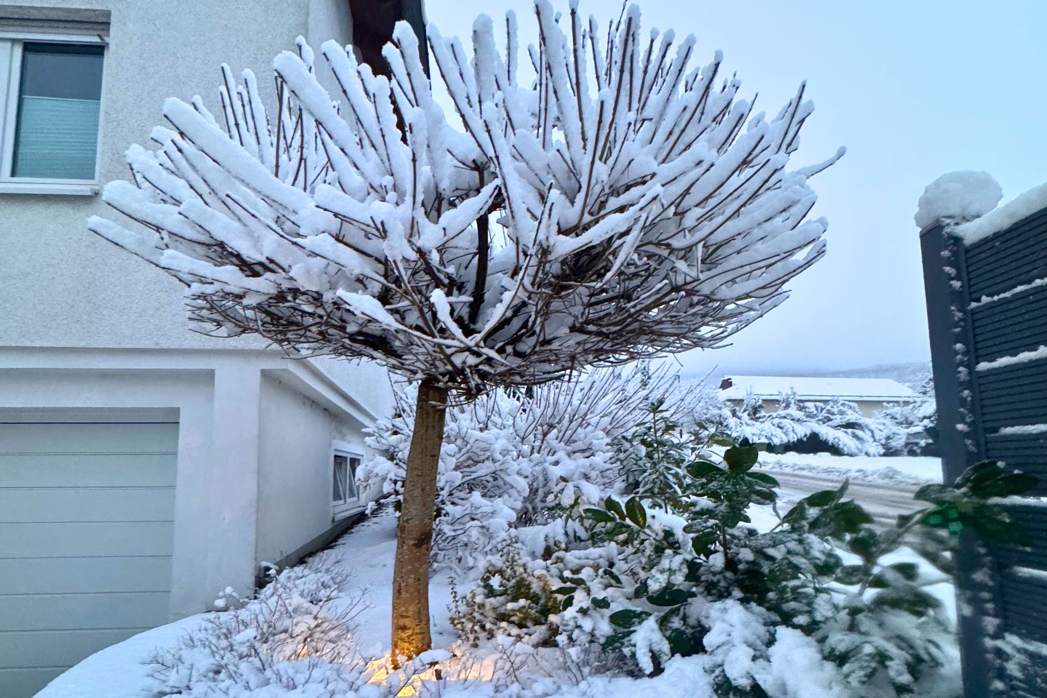 Casa Brocktega in Bestwig-Im Freien