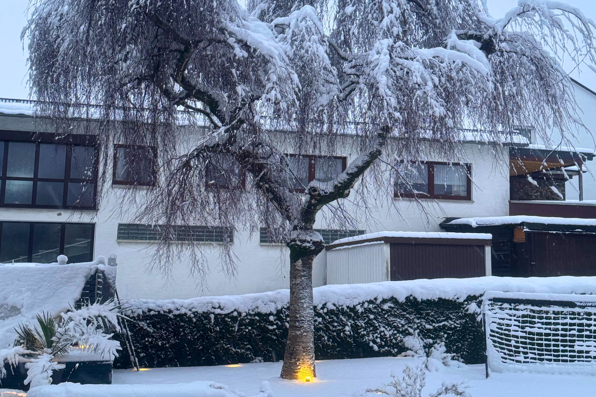 Casa Brocktega in Bestwig-Im Freien
