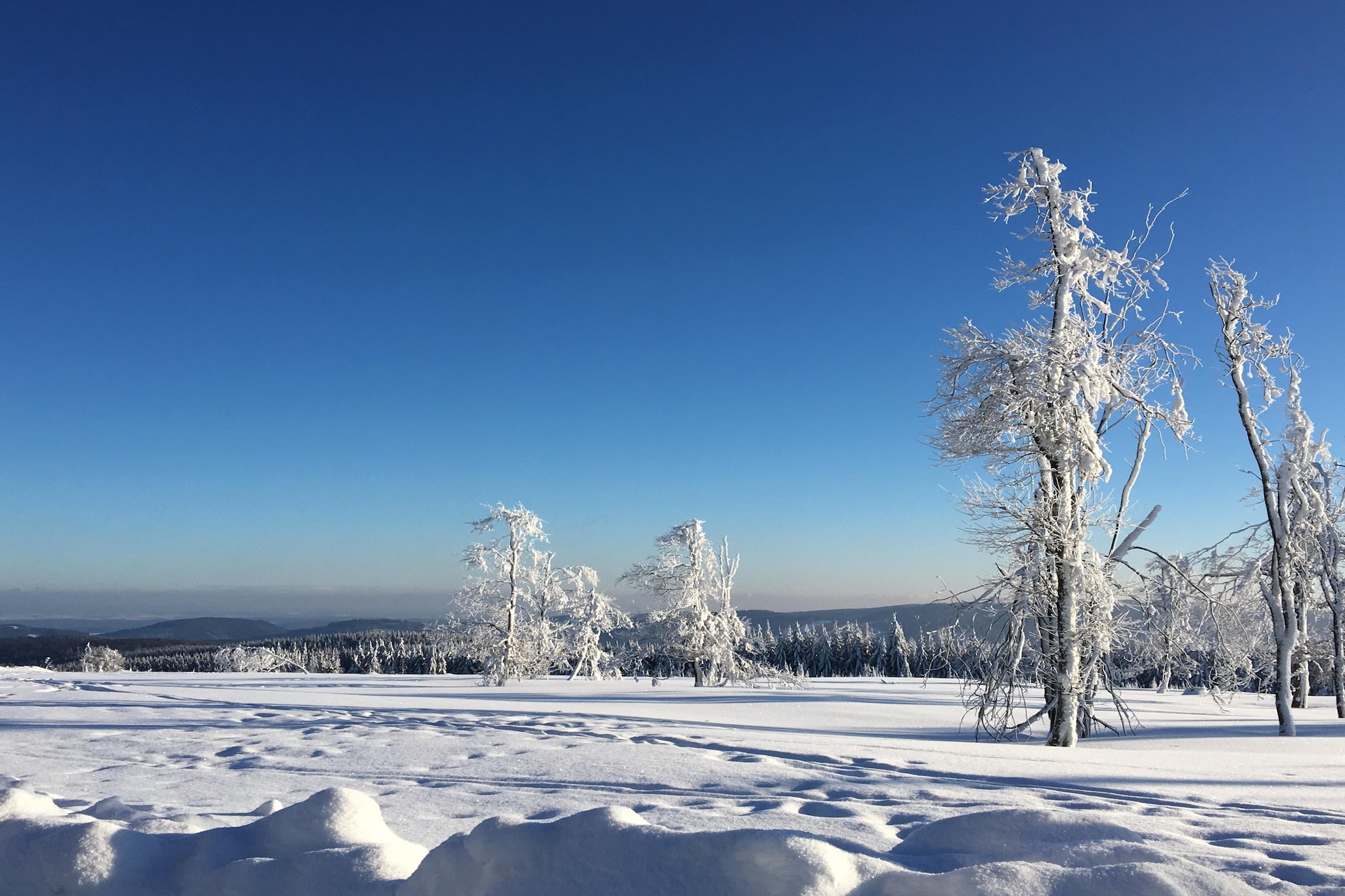 Casa Brocktega in Bestwig-Gebiet Winter 1 km