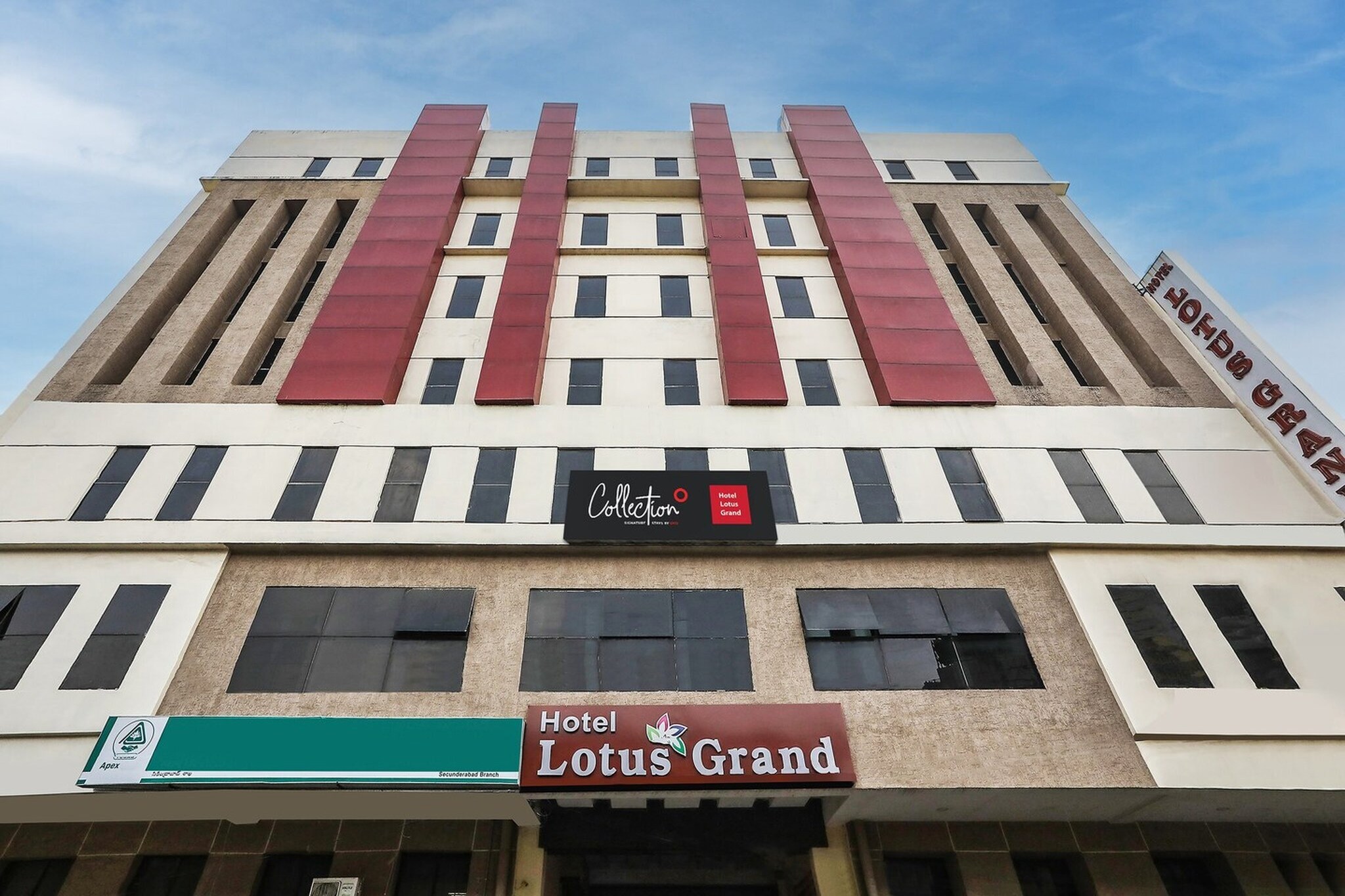 Super Collection O Lotus Grand
