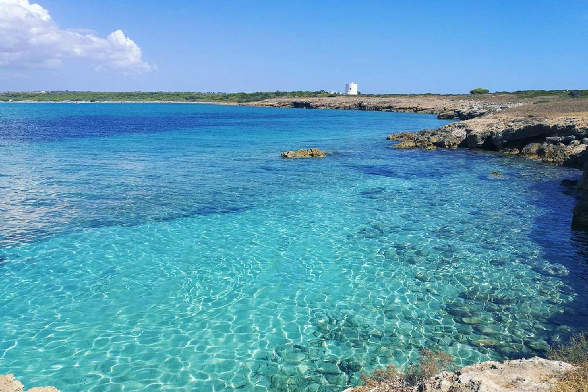 CVG51-Gebiete Sommer 1 km