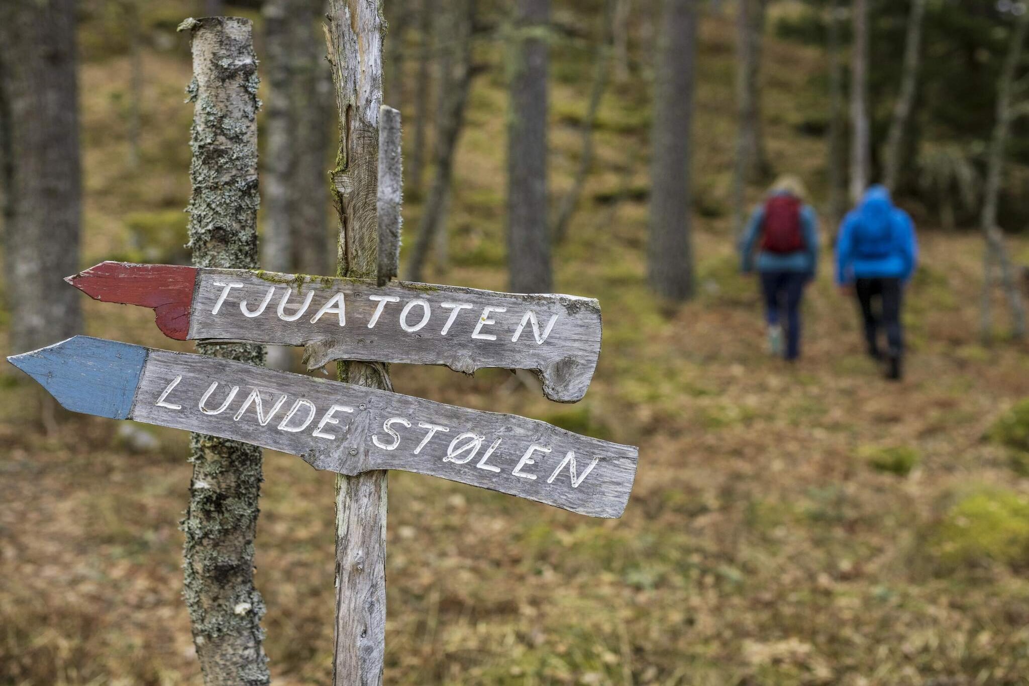 2 Personen vakantie huis in Balestrand-Niet-getagd