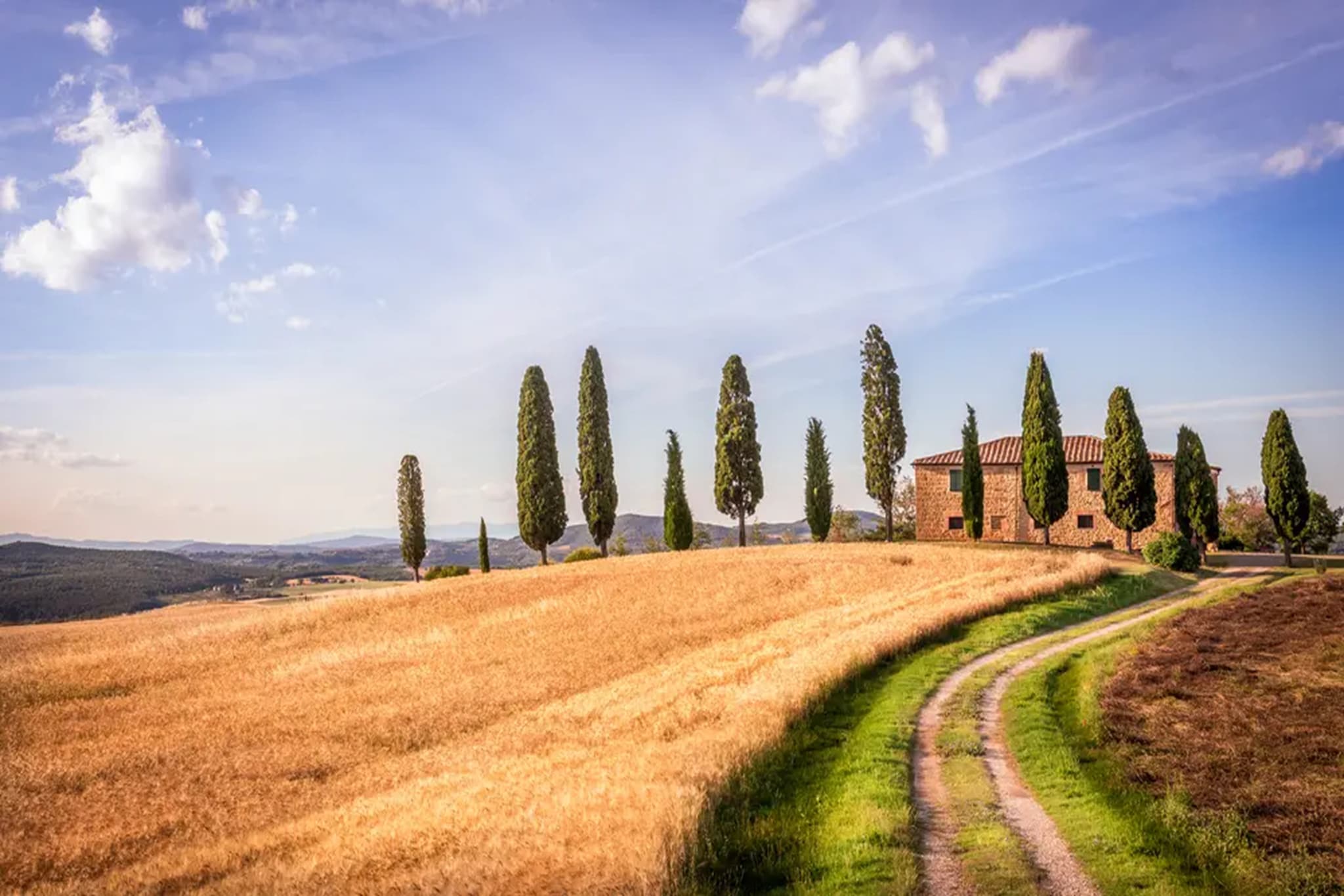 Rosa Lilla-Gebieden zomer 5km