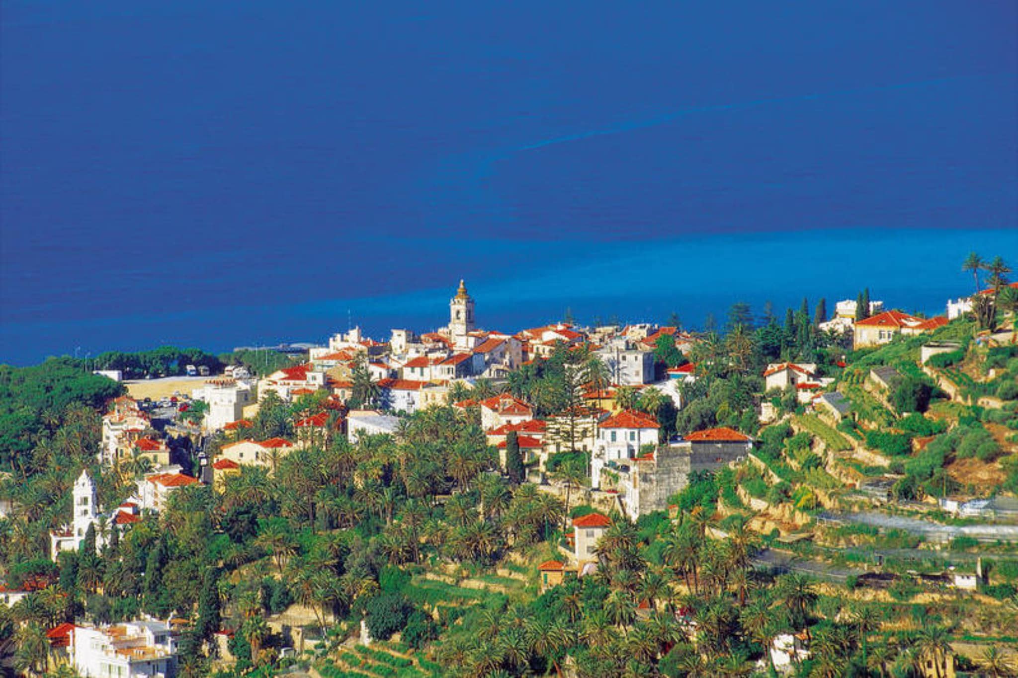 RESIDENCE I MORELLI - THREE-ROOM APT 6 PAX TR1-Areas within 5km in summer