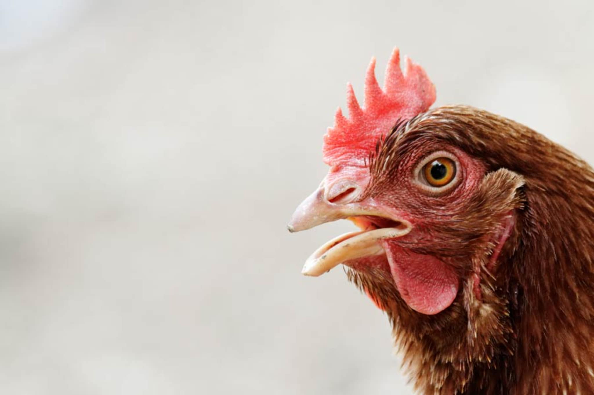 AGRITURISMO BORGO AMENO - TWO-ROOM APT 4 PAX BX4 B401-Areas within 1km in summer