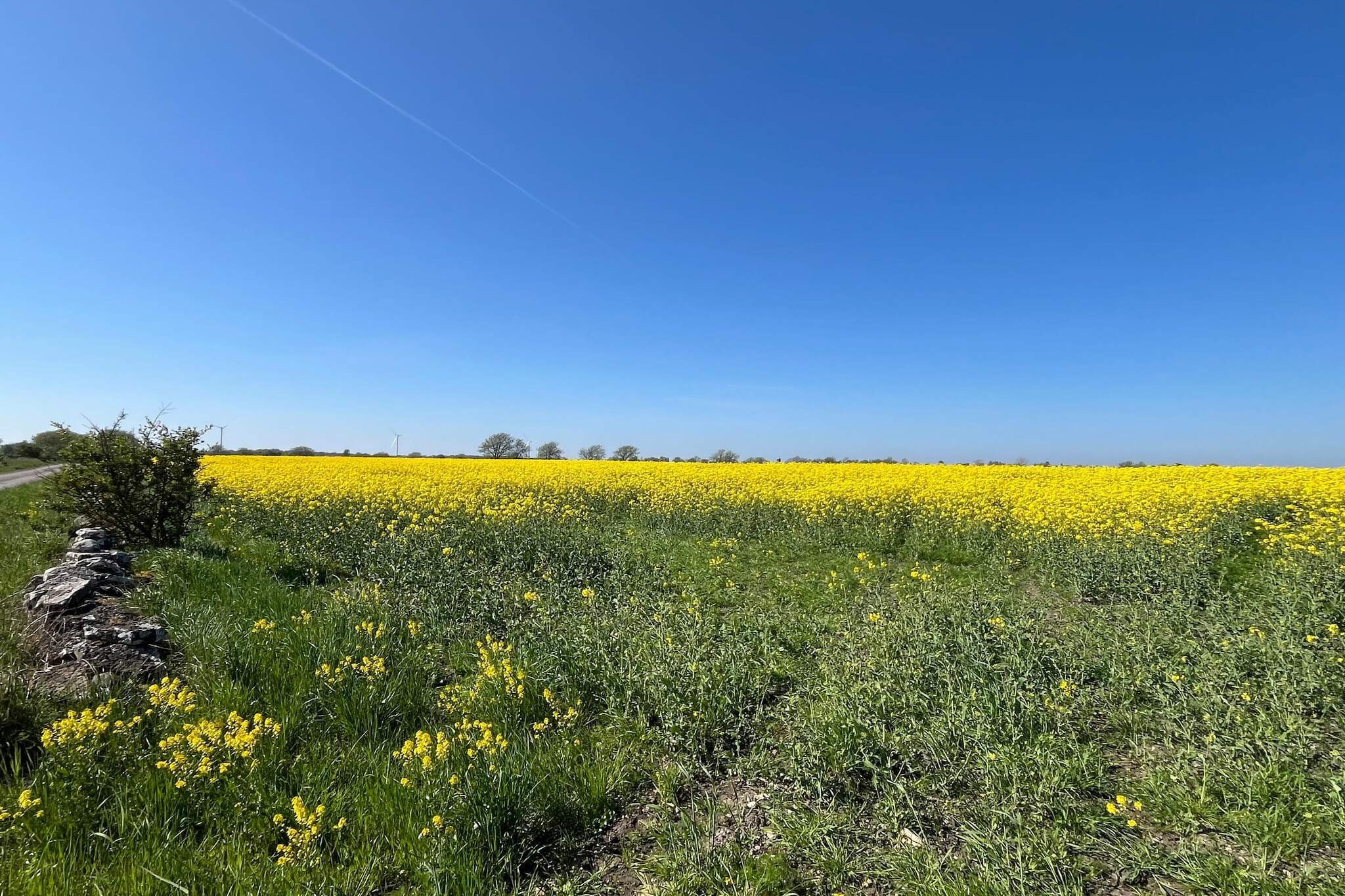4 Personen vakantie huis in Mörbylånga-Niet-getagd