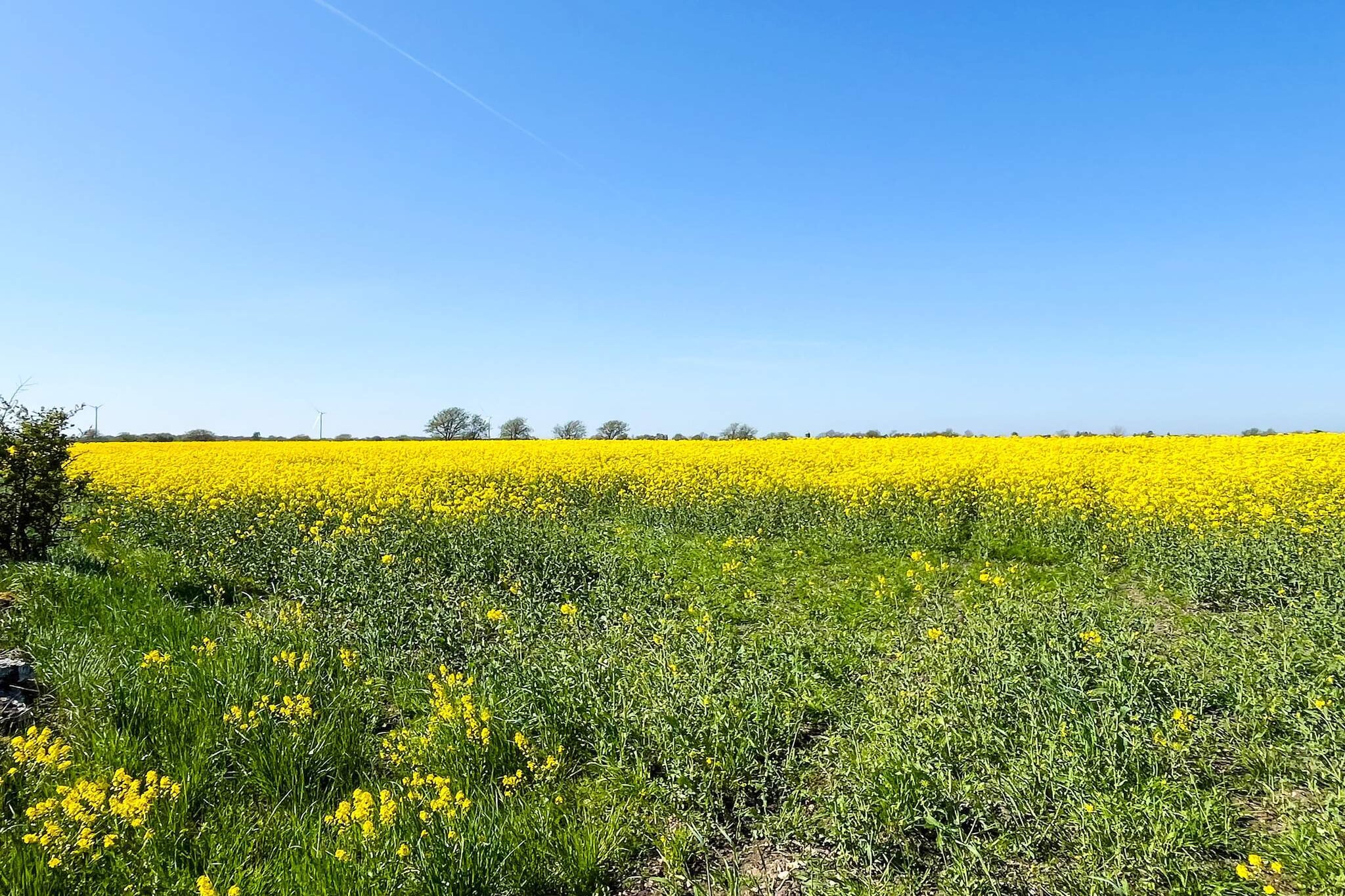 4 Personen vakantie huis in Mörbylånga-Niet-getagd