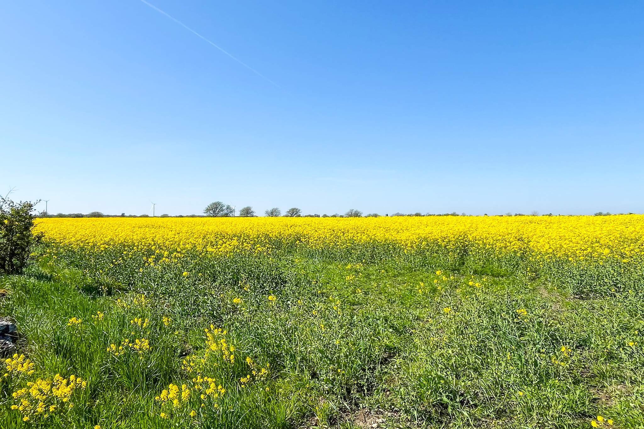 3 Personen vakantie huis in Mörbylånga-Niet-getagd
