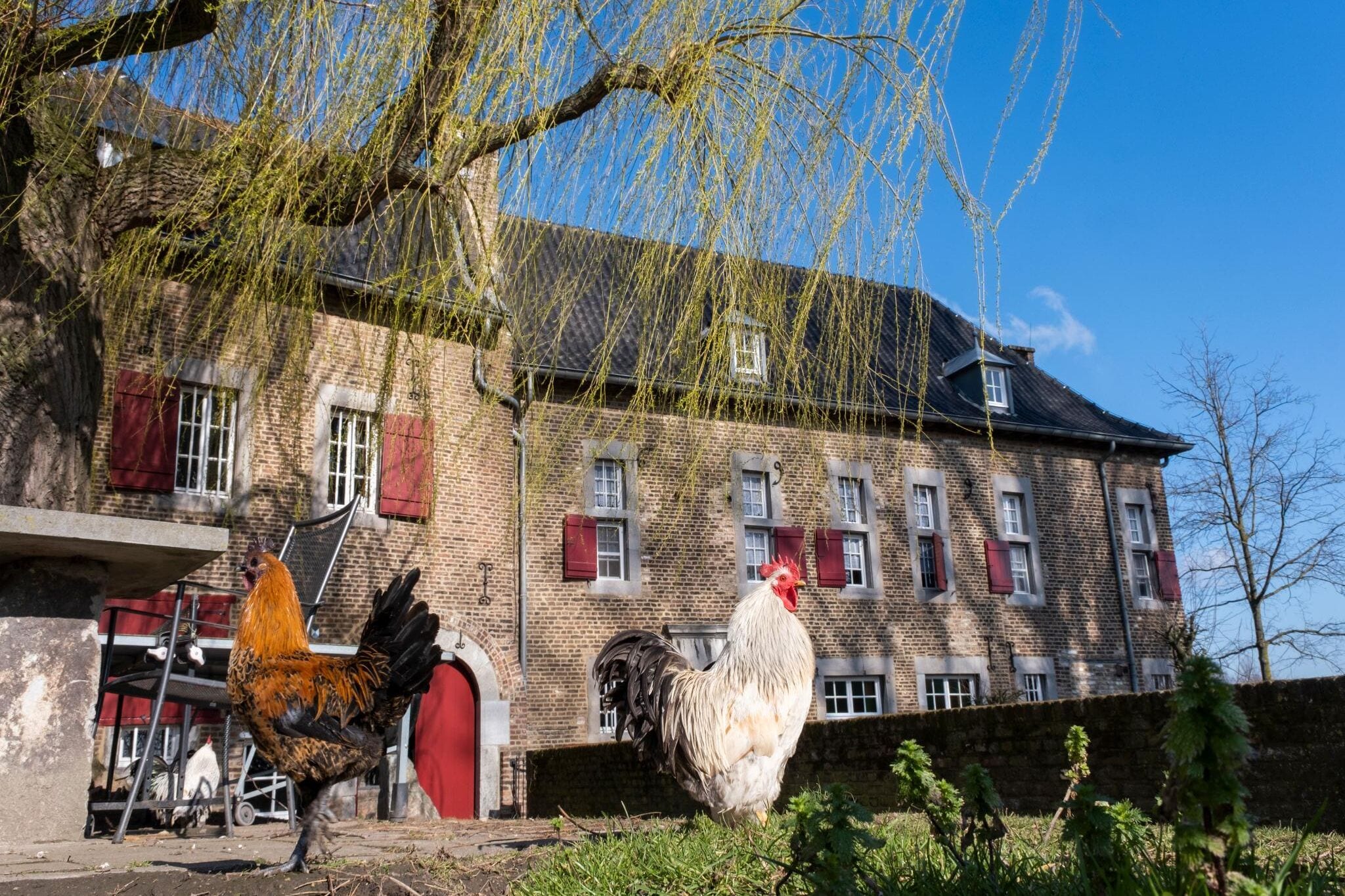 Wohnung in Wassermühle 10 km von Maastricht