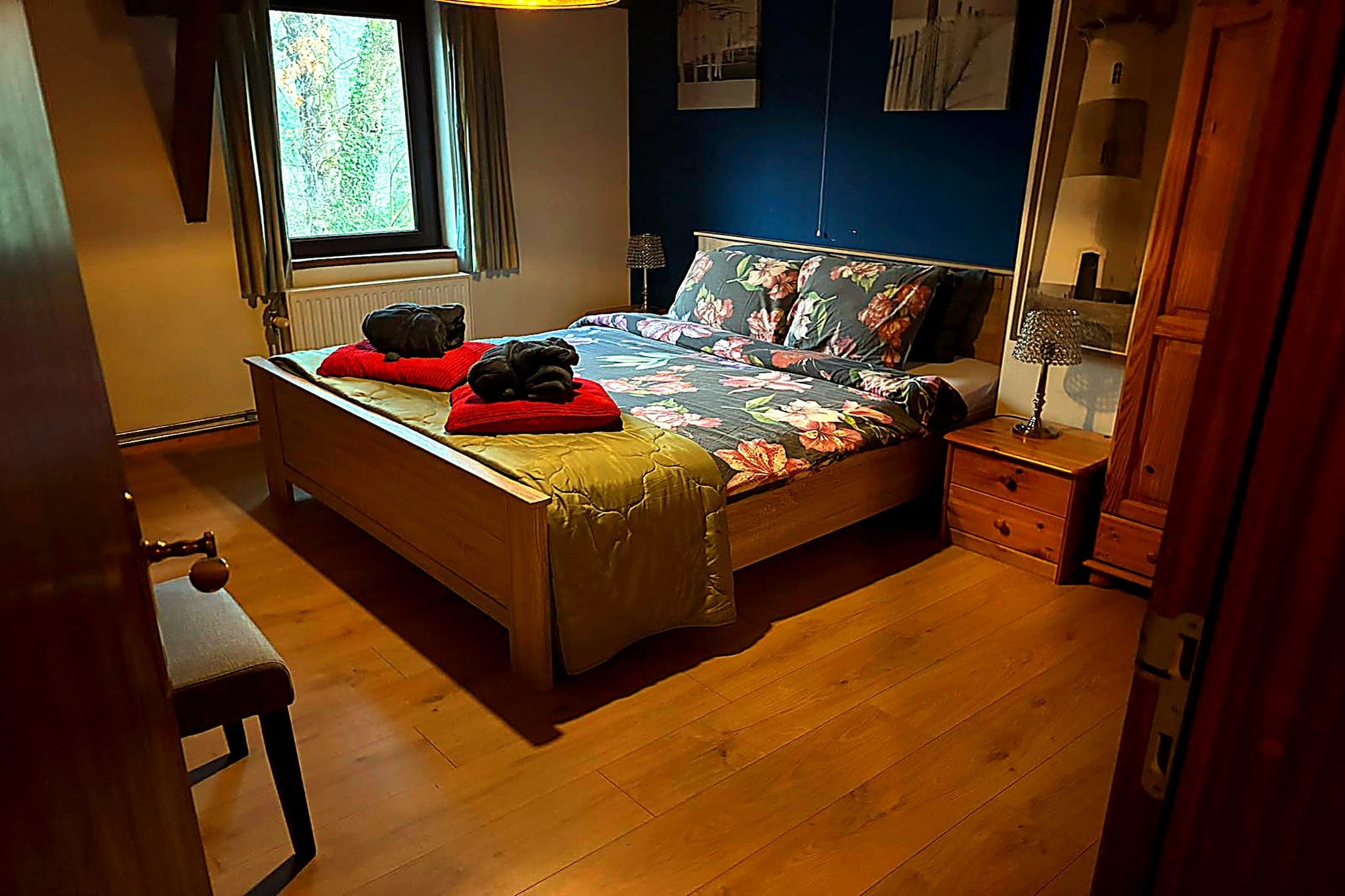 Hondvriendelijke woning met jacuzzi