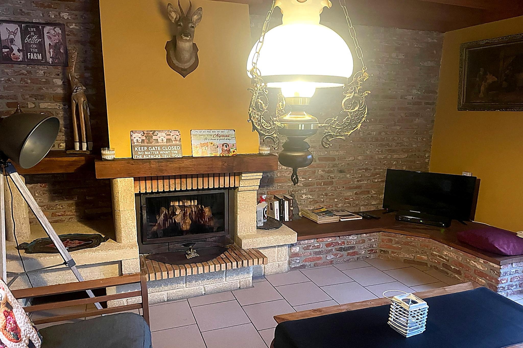 Hondvriendelijke woning met sauna en jacuzzi-Woonkamer