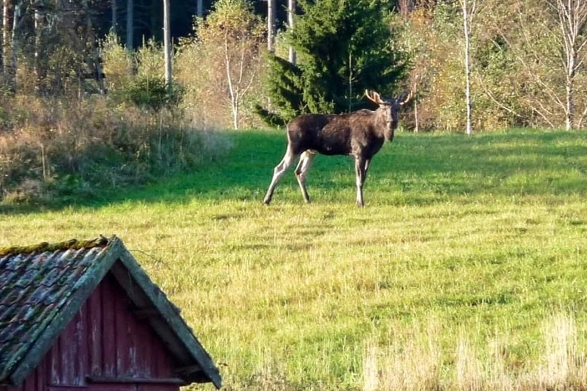 6 Personen vakantie huis in HUNNEBOSTRAND-Buitenlucht