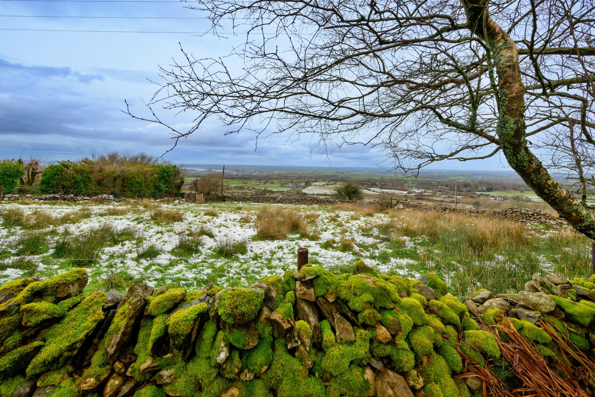 Merddyn Cottage - Zones hiver à 5 km