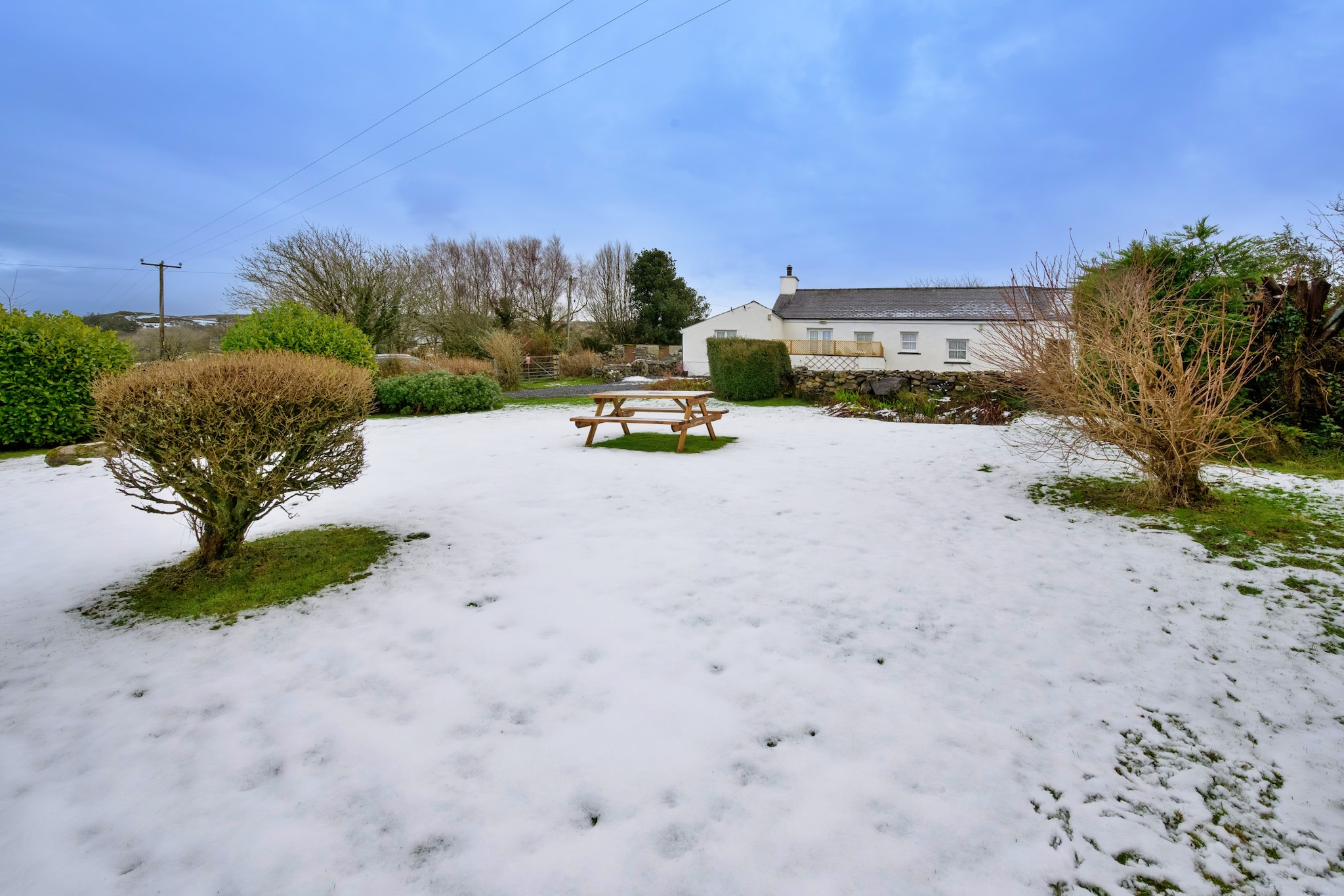 Merddyn Cottage - Jardin en hiver