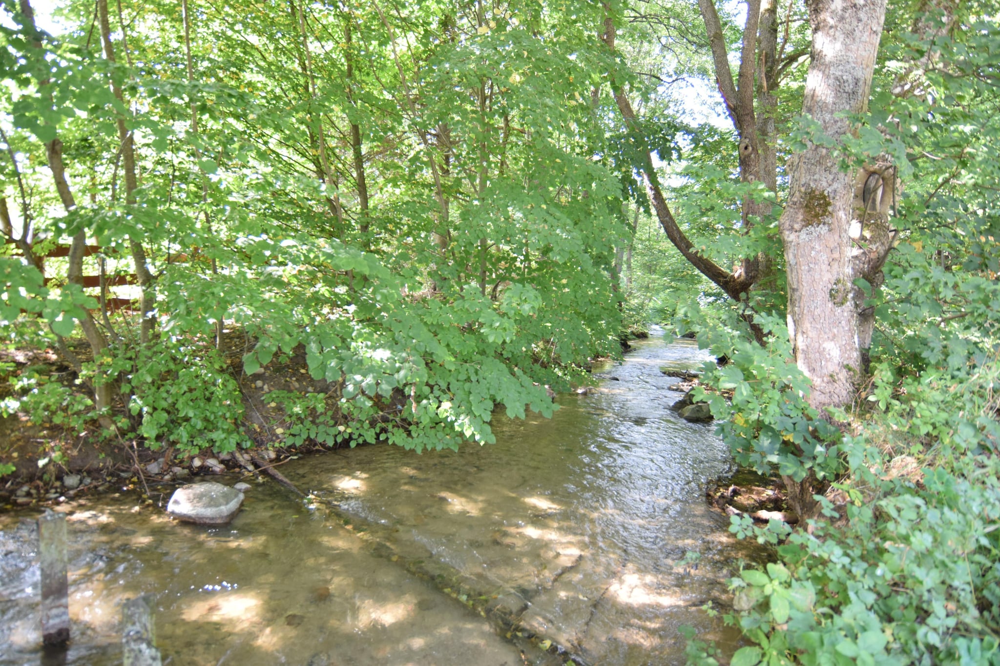 Domki wakacyjne MACIEJKA we Frydrychowie-Gebieden zomer 1km