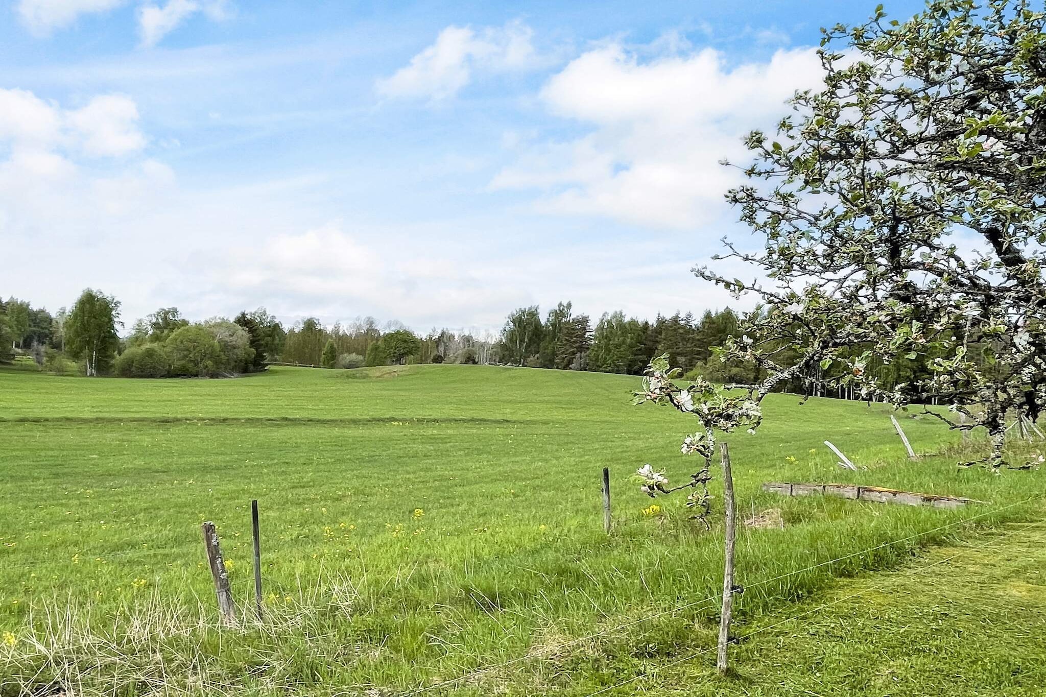 8 Personen vakantie huis in HÖGSBY - Buitenlucht