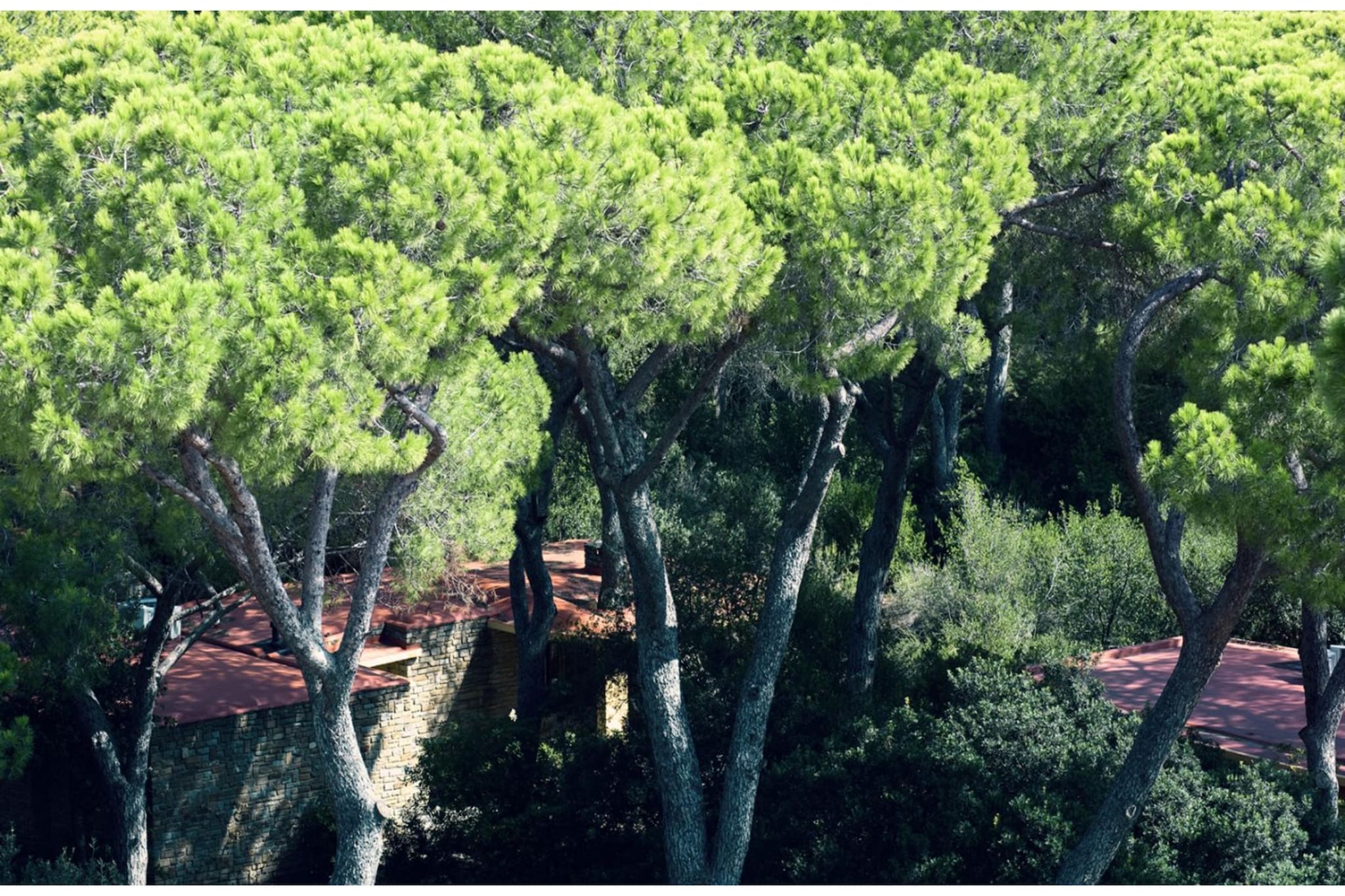 ROCCAMARE RESORT - Villa Media 4 Persone  sofa bed - 58-65mq-Gebieden zomer 1km