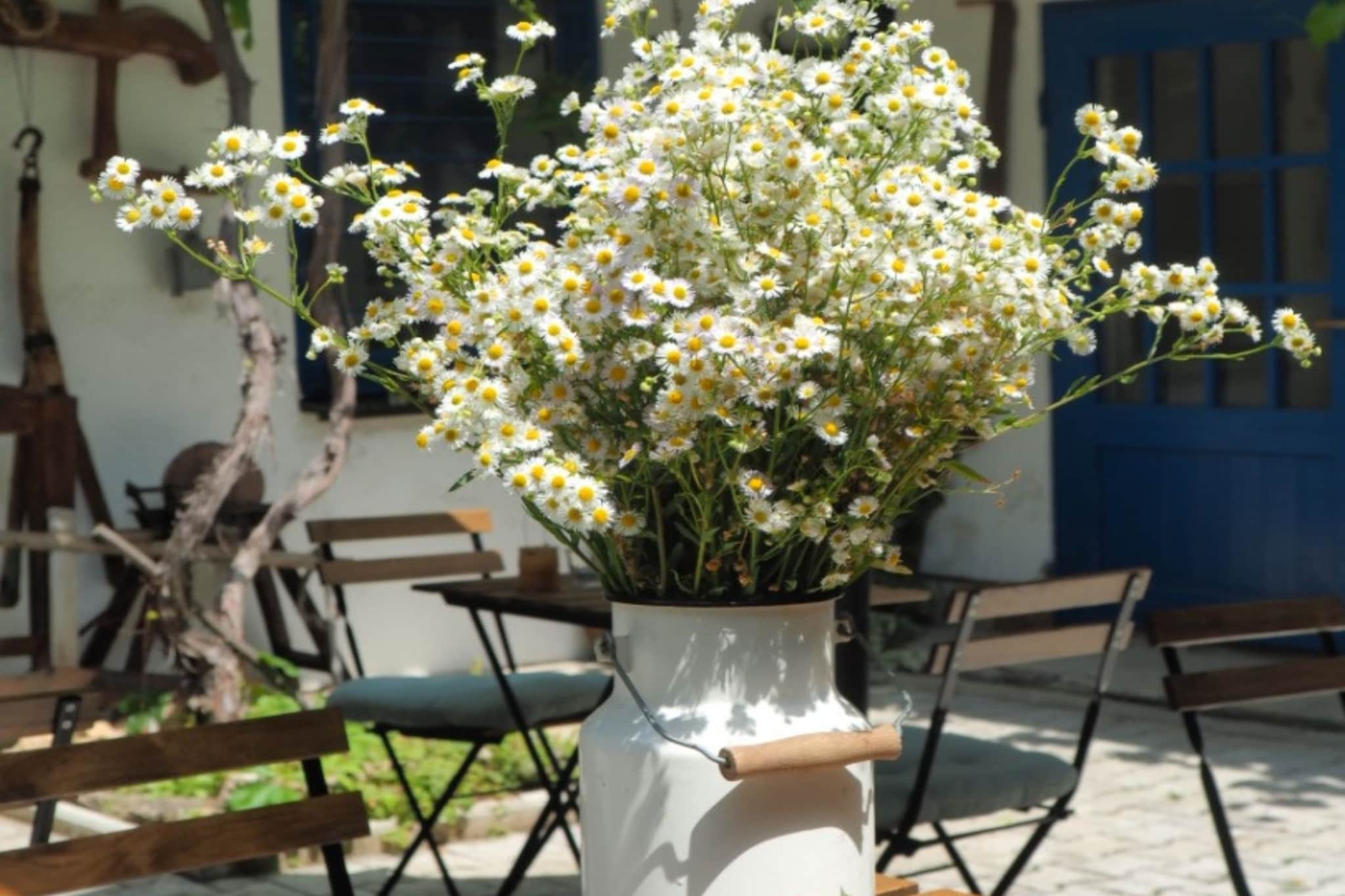 Apartments & Rooms Latin - Economy Double Room with Shared Bathroom - Outdoor