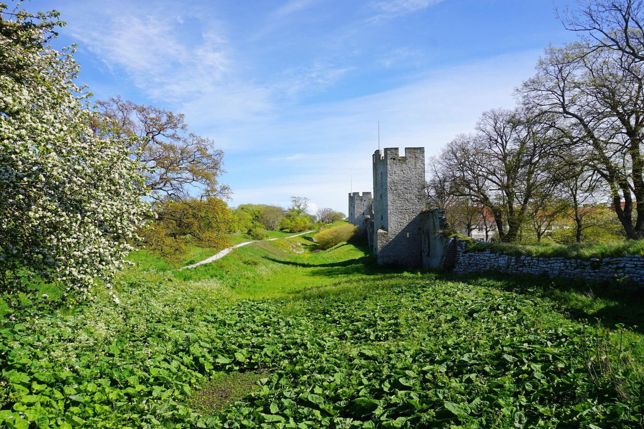Gotland