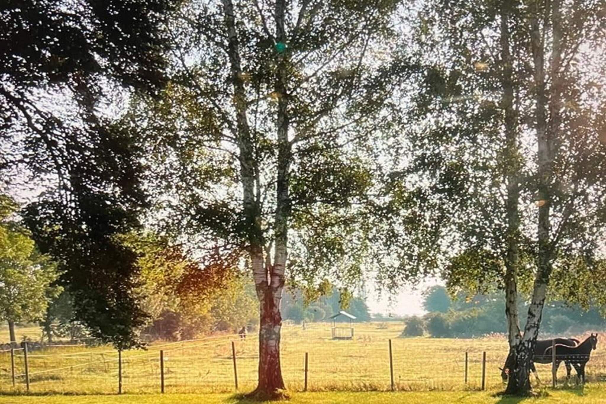 6 Personen vakantie huis in LÖTTORP-Buitenlucht
