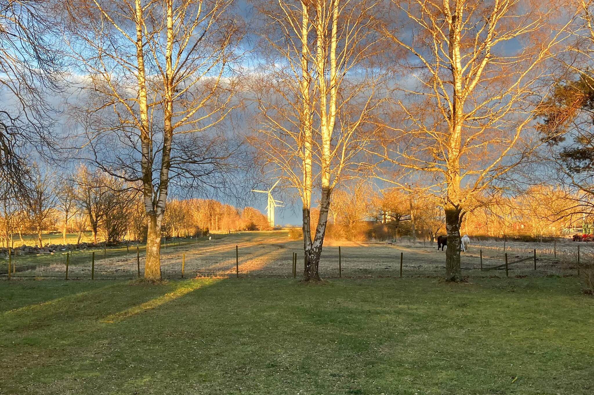 Outdoor