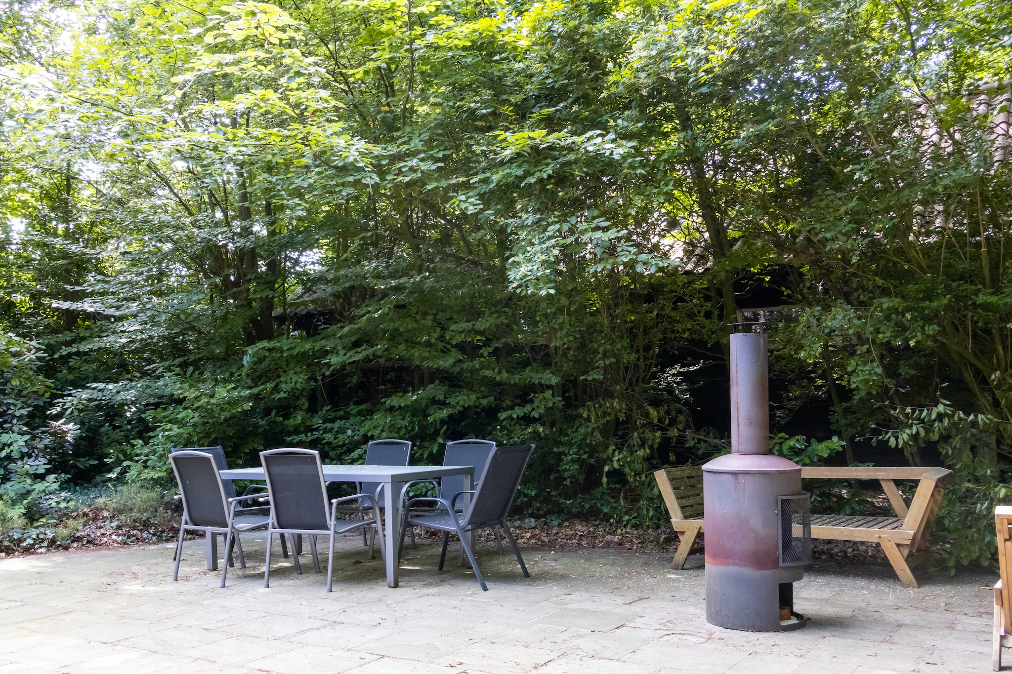 House in the Woods in Drenthe