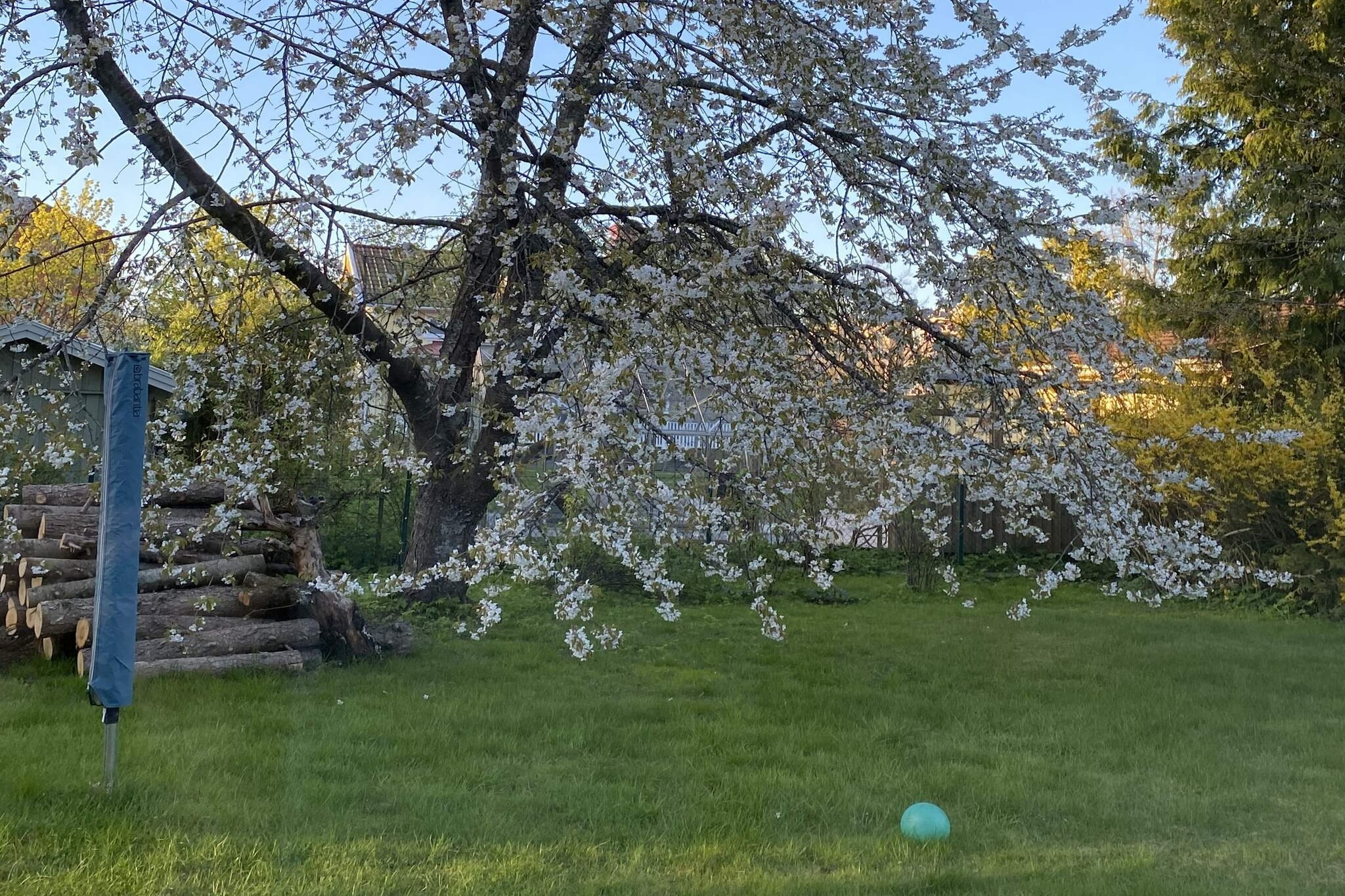 4 star holiday home in ALINGSÅS - Outdoor