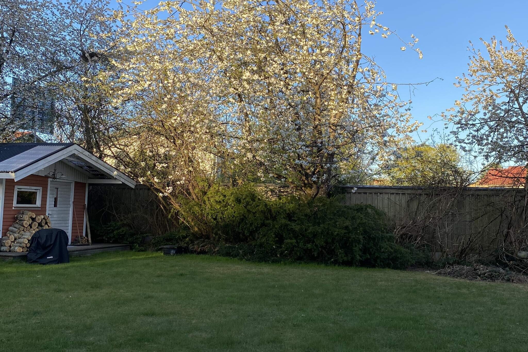 4 star holiday home in ALINGSÅS - Outdoor