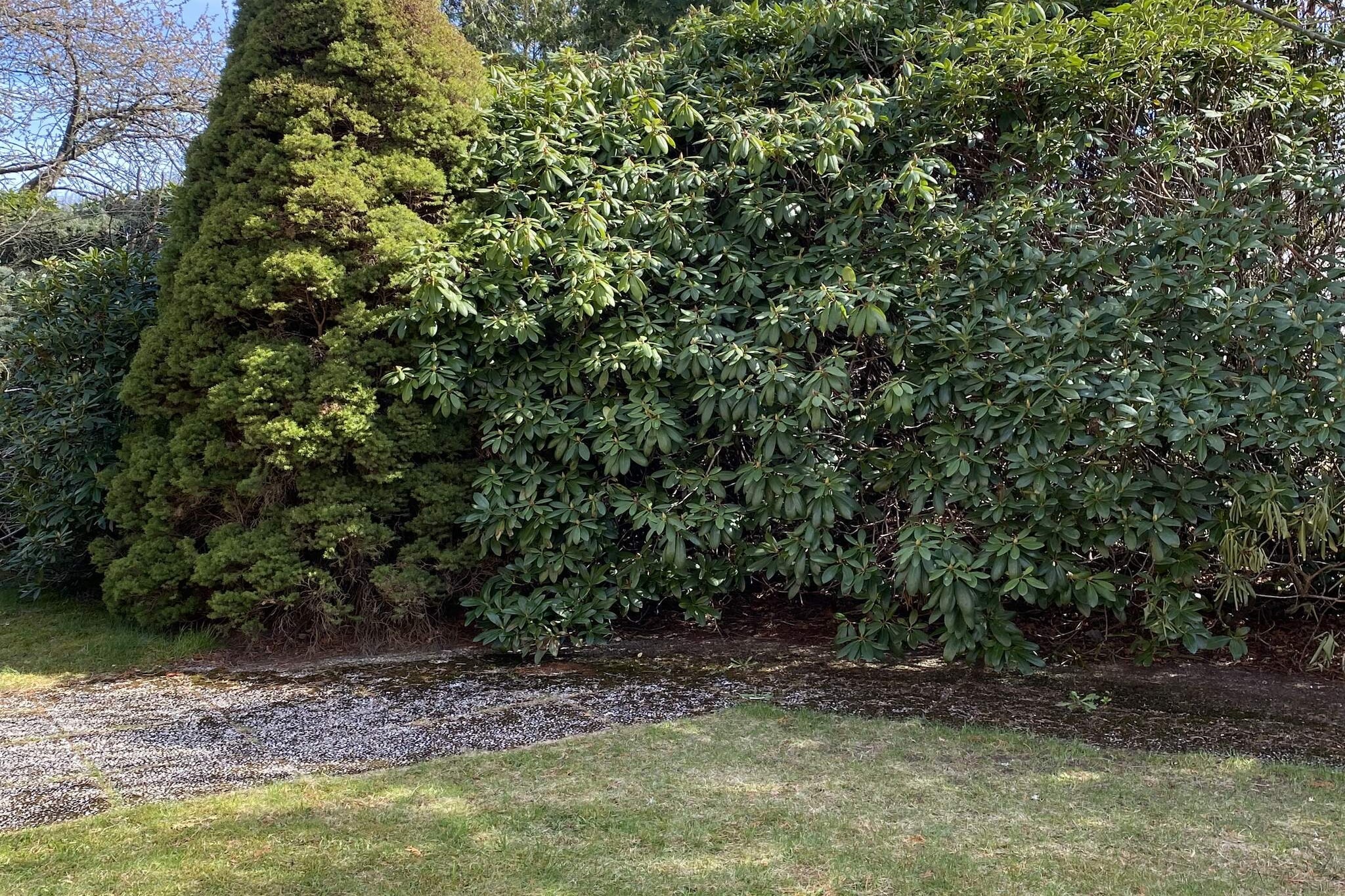 4 star holiday home in ALINGSÅS - Outdoor